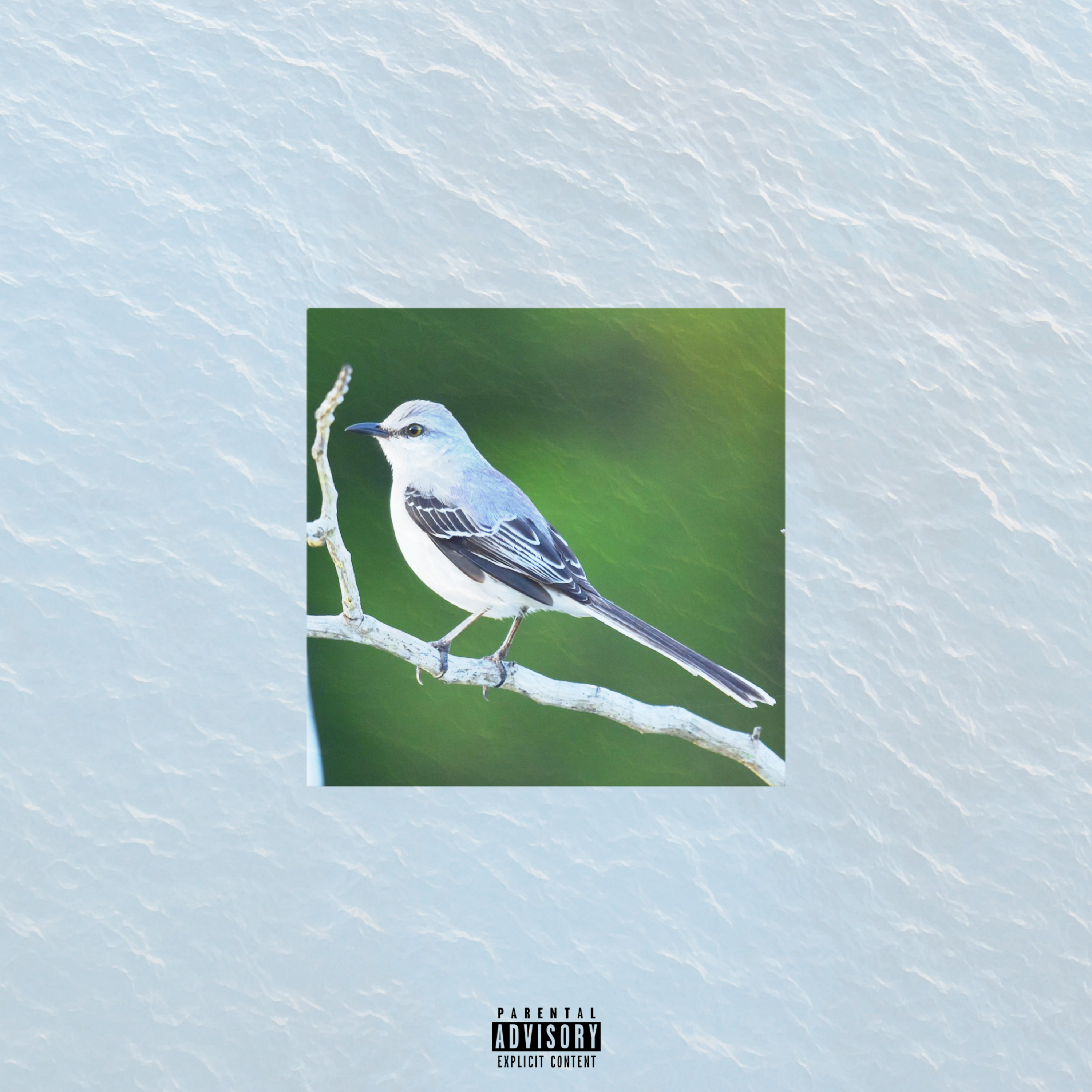 Mockingbird (Remix) artwork