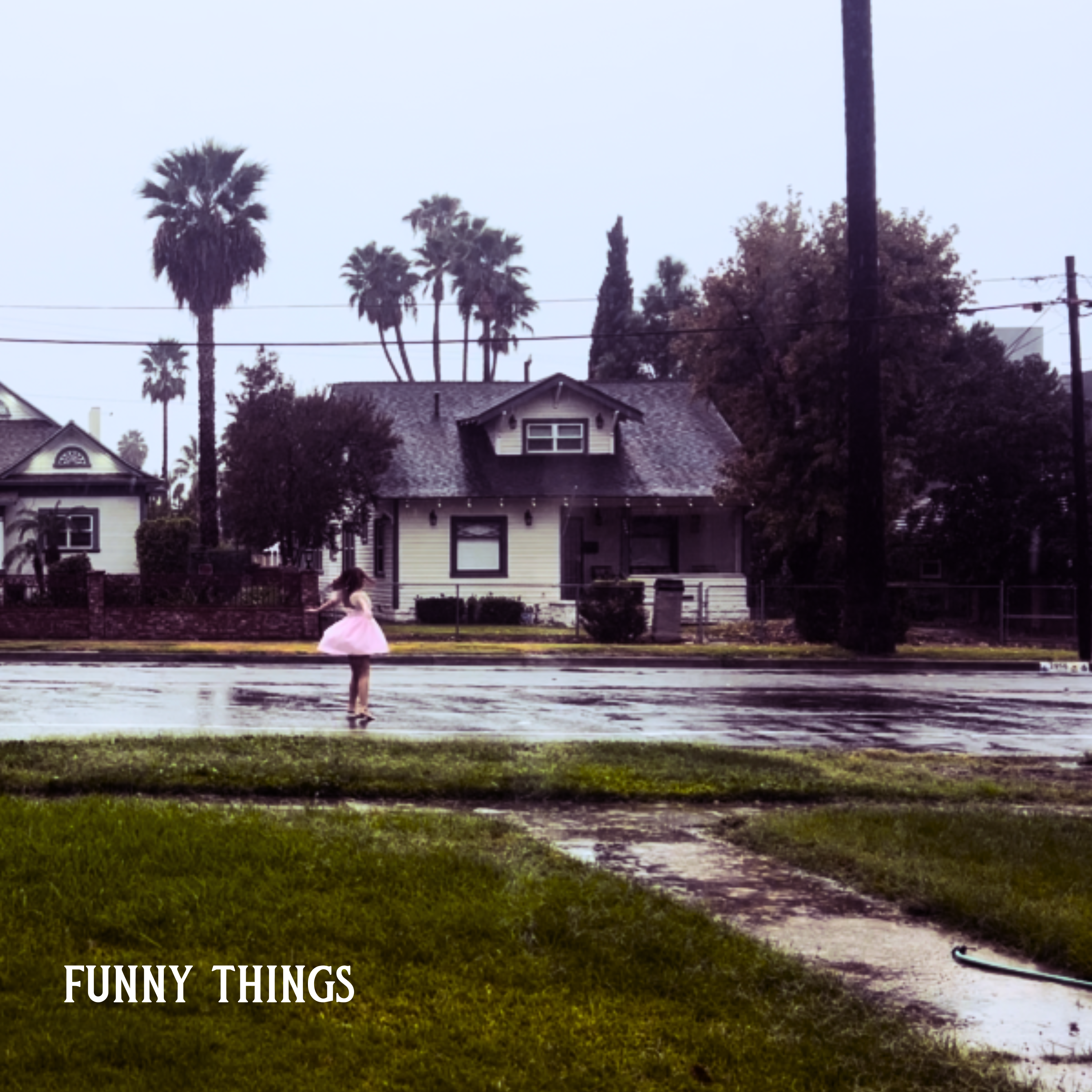 Funny Things artwork