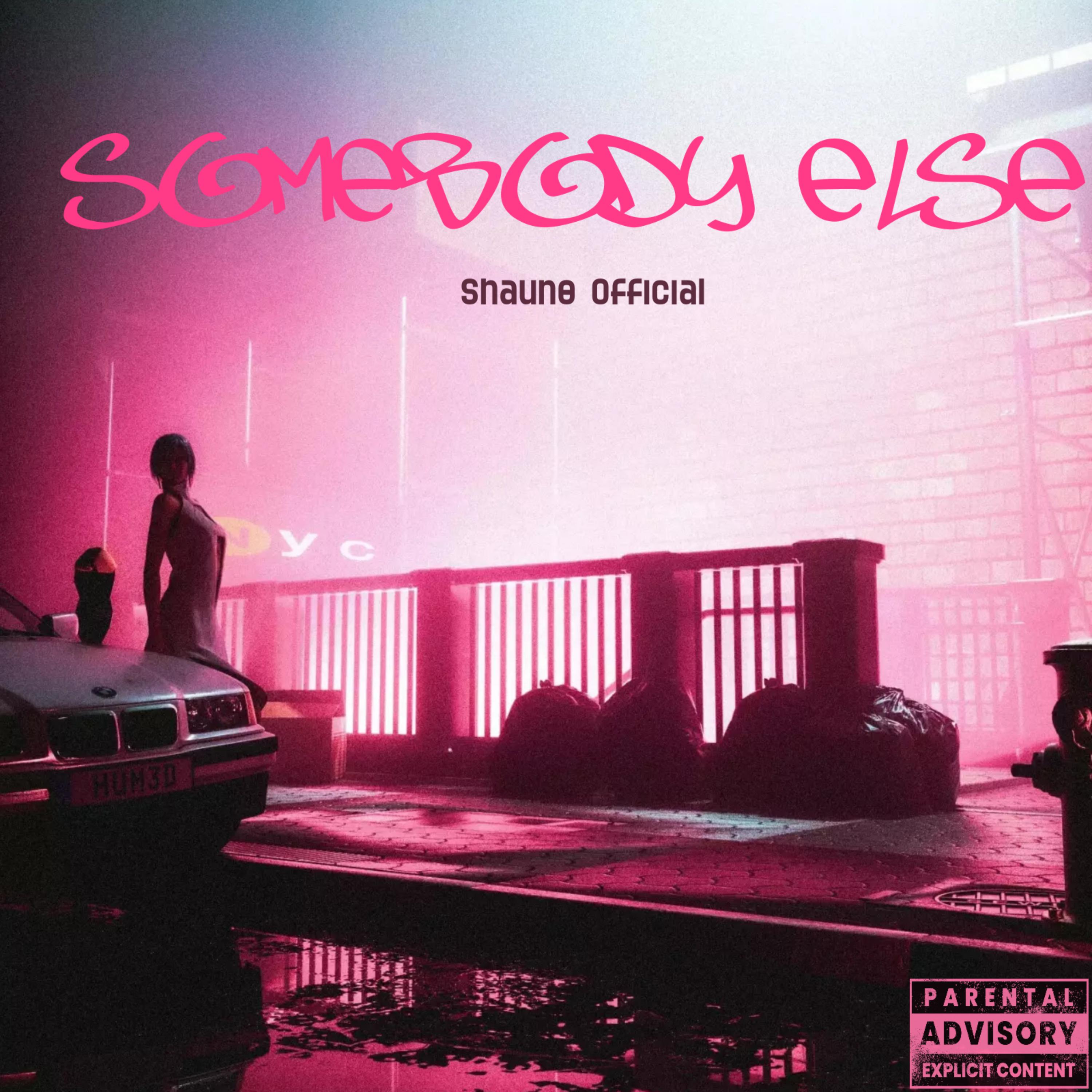 Somebody Else artwork