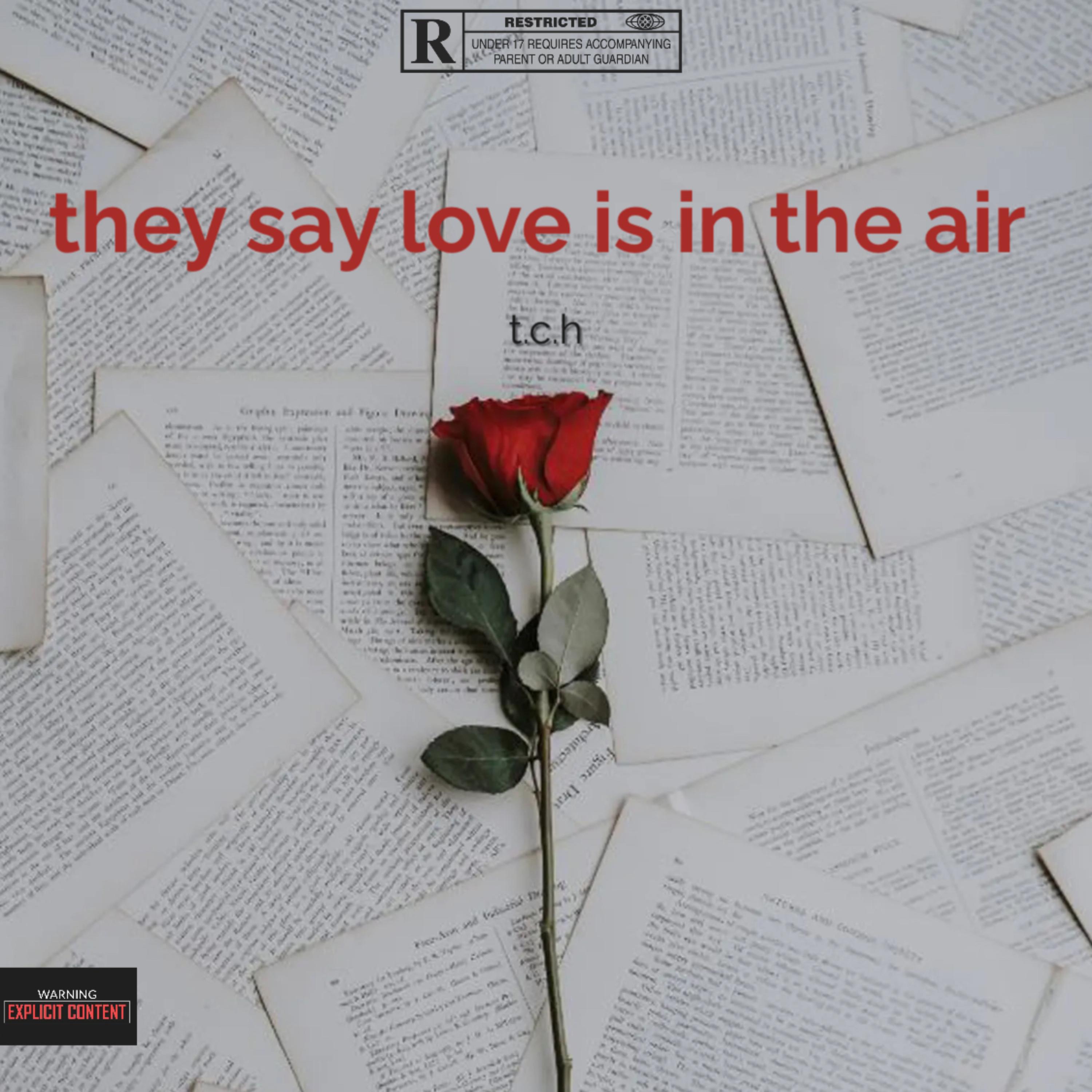 They Saying Love Is In The air artwork