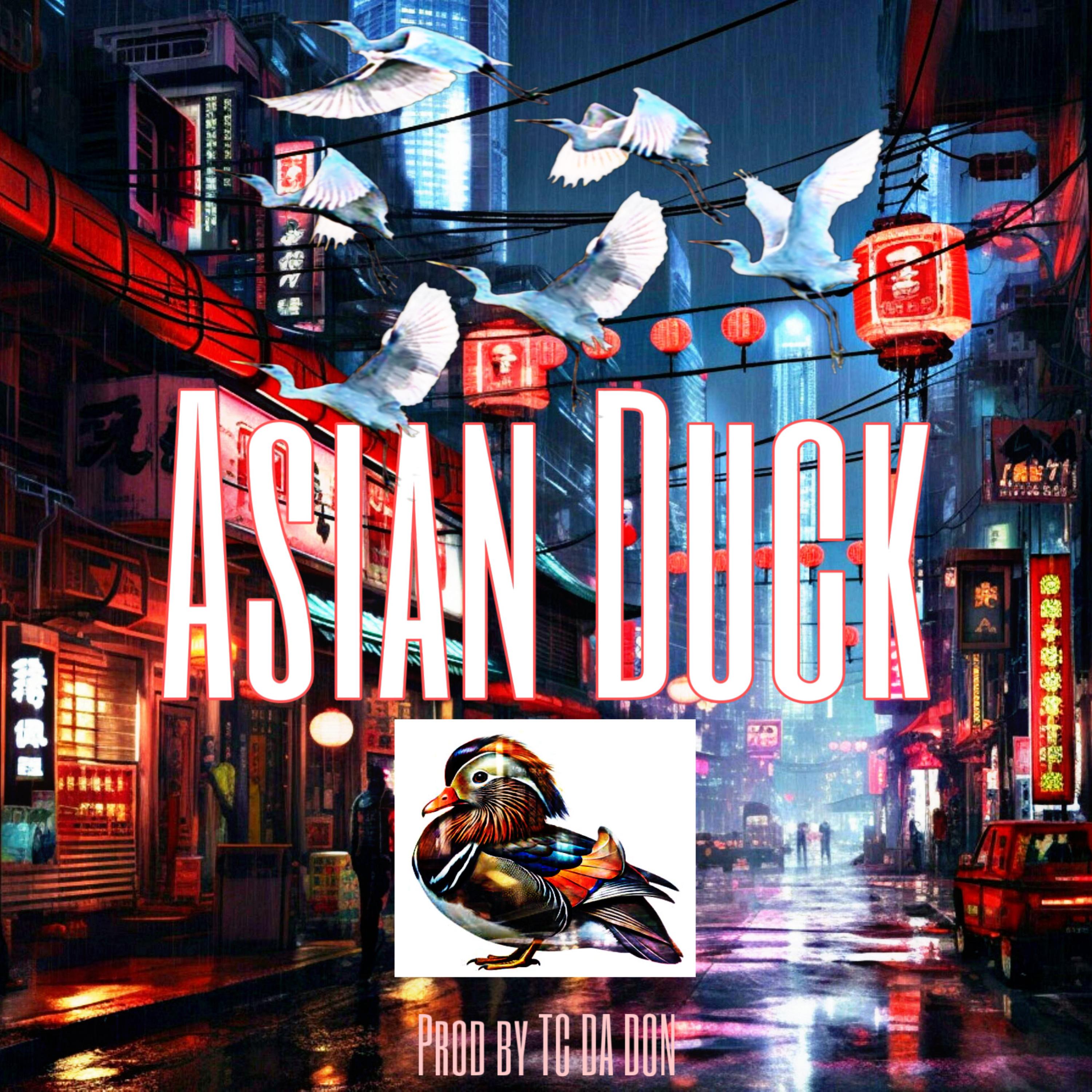 Asian Duck artwork