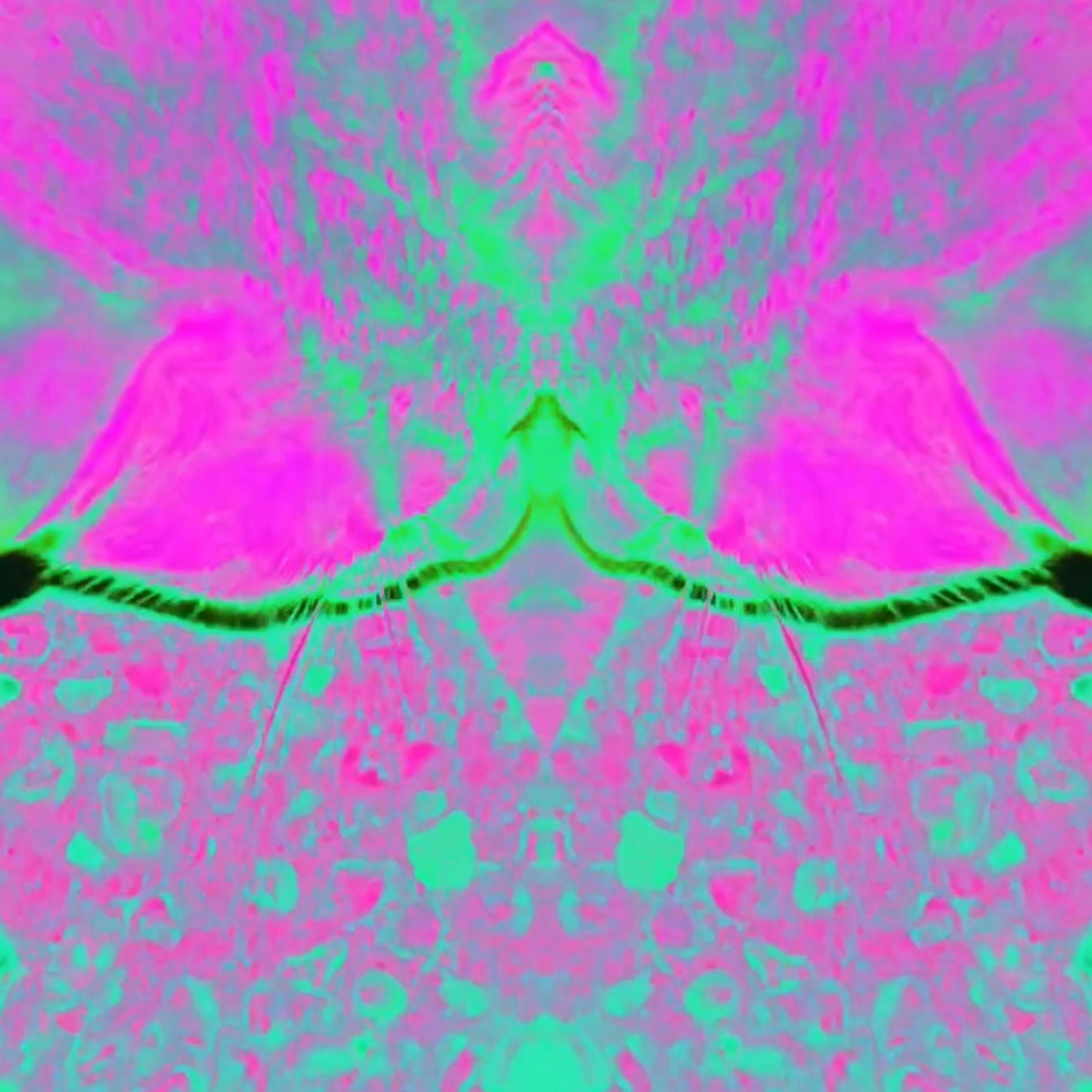 Self Reflection artwork