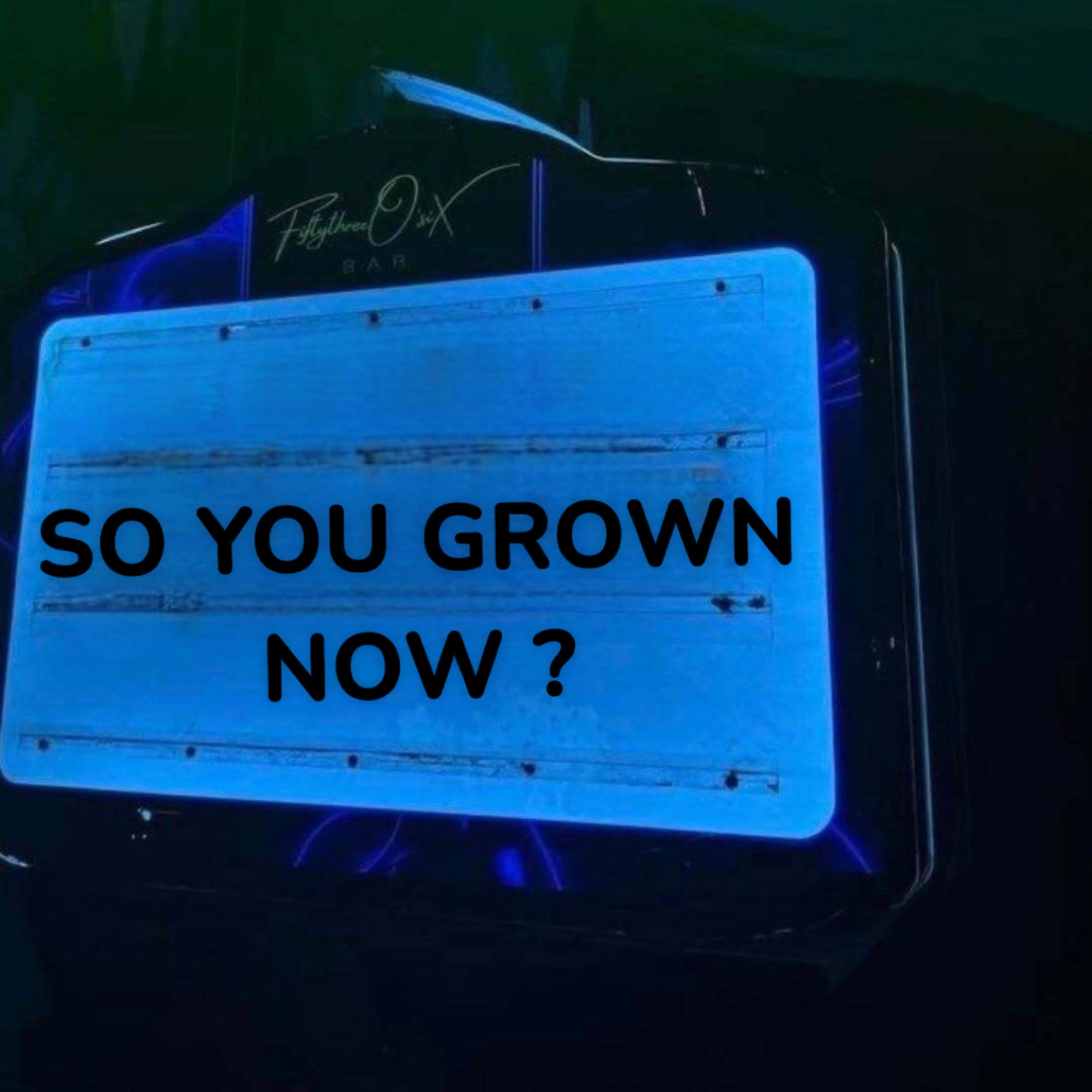 So You Grown Now ? artwork