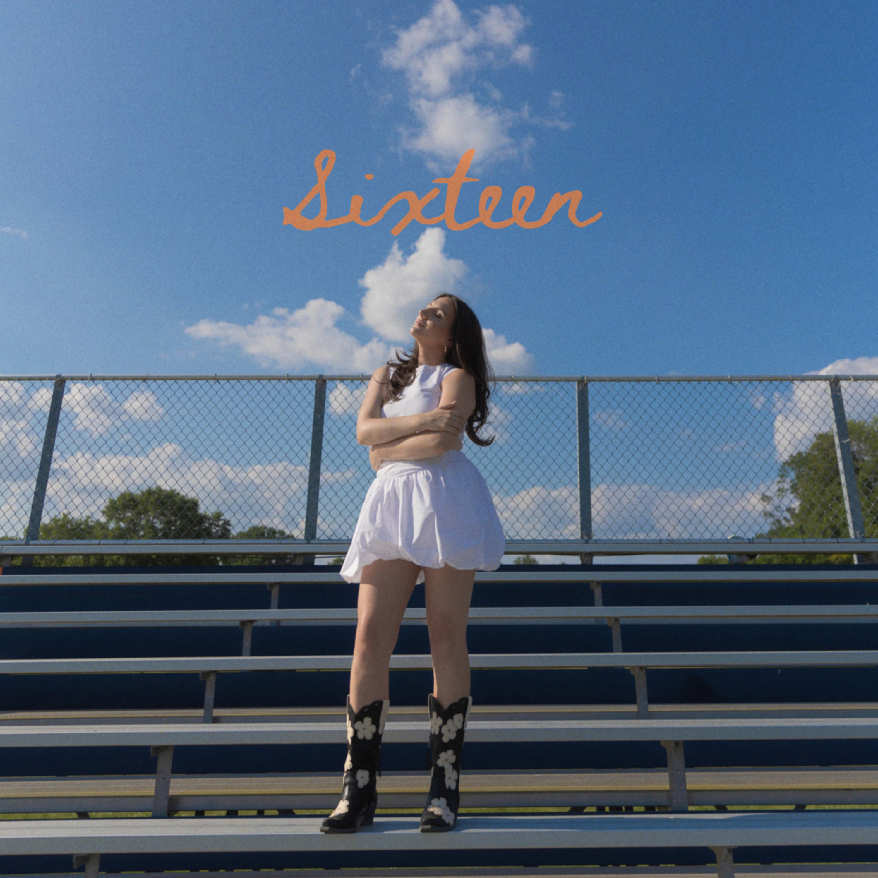 Sixteen artwork