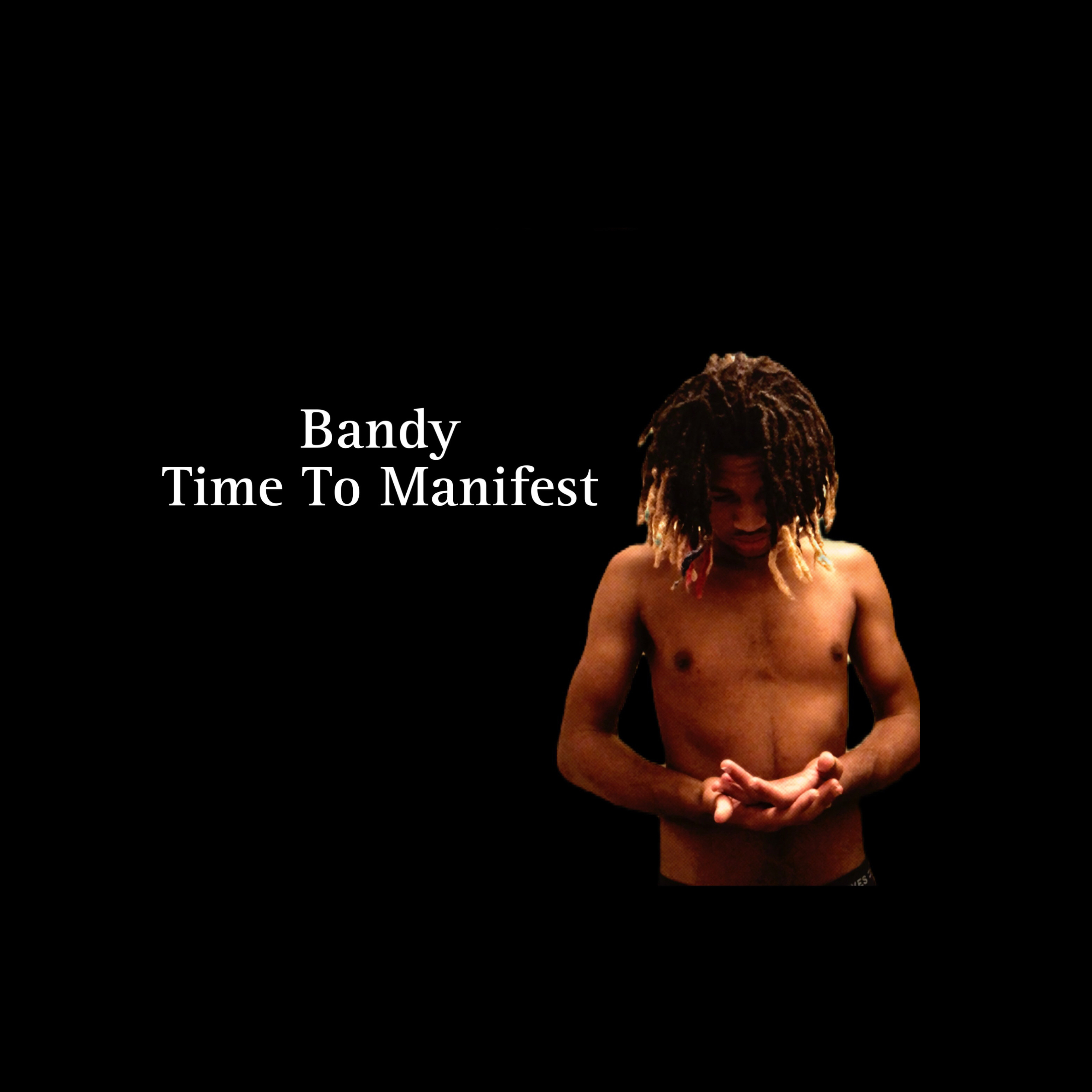 Time To Manifest artwork
