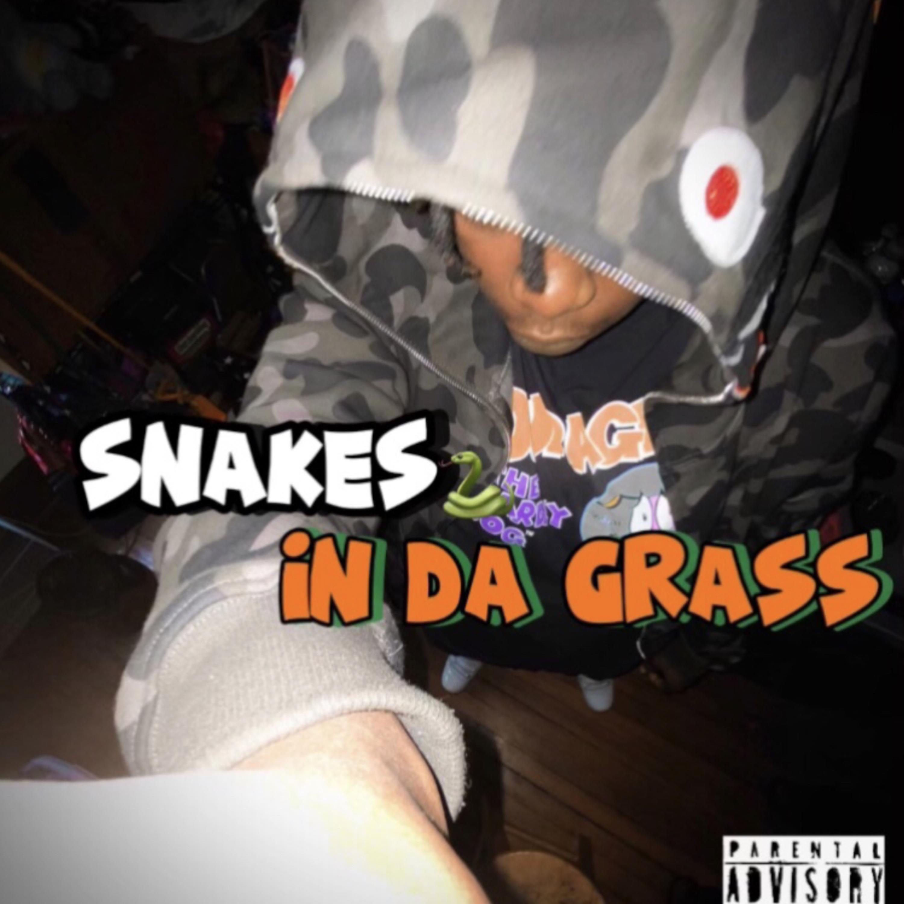 Snakes In Da Grass artwork