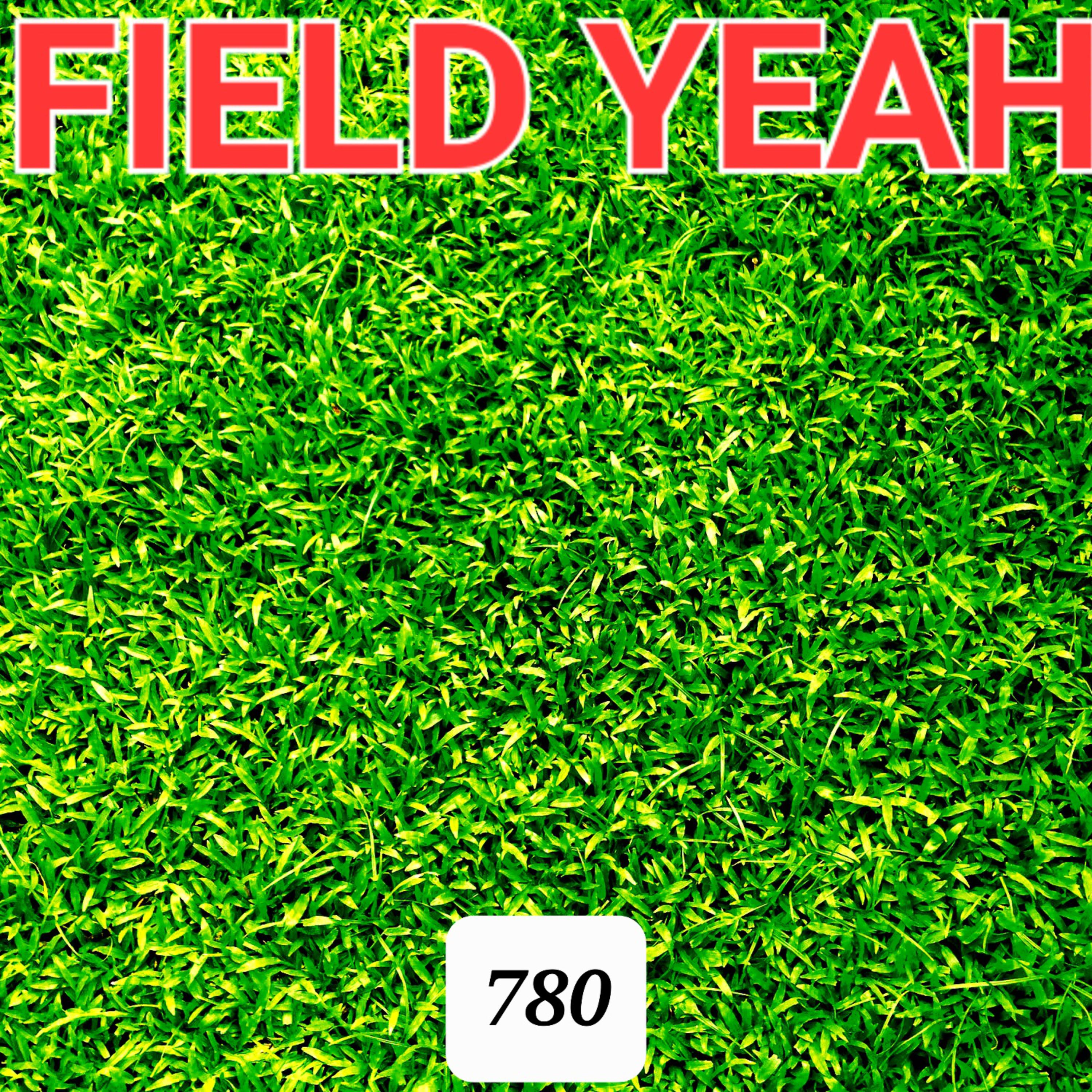 FIELD YEAH artwork