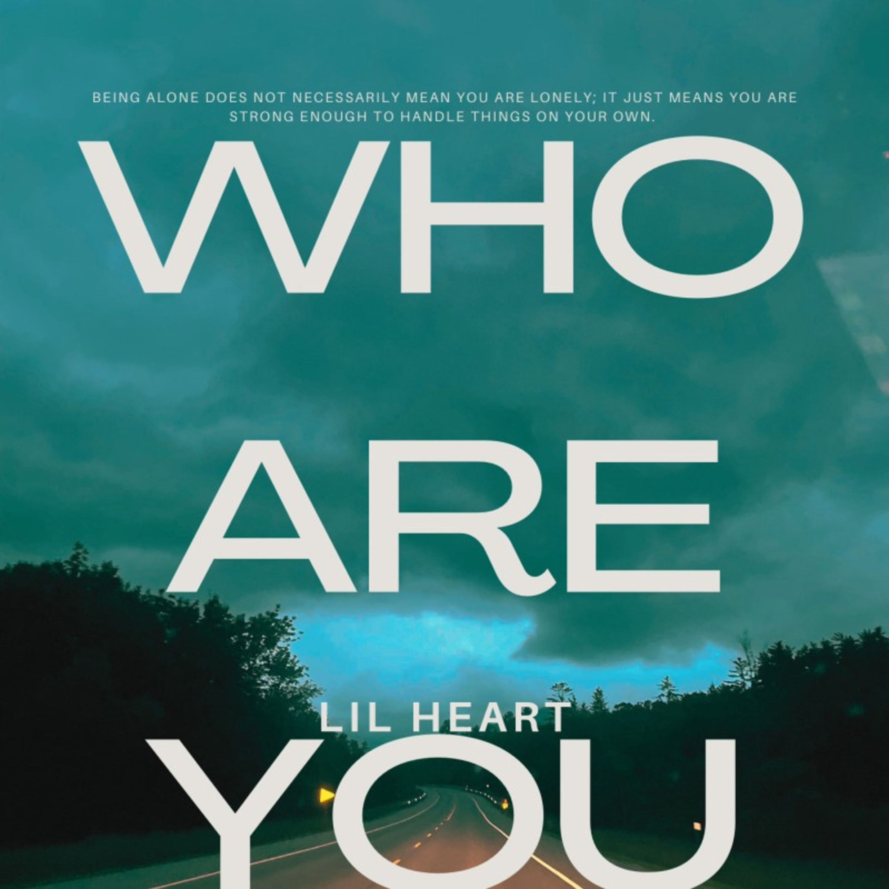 who are you. artwork