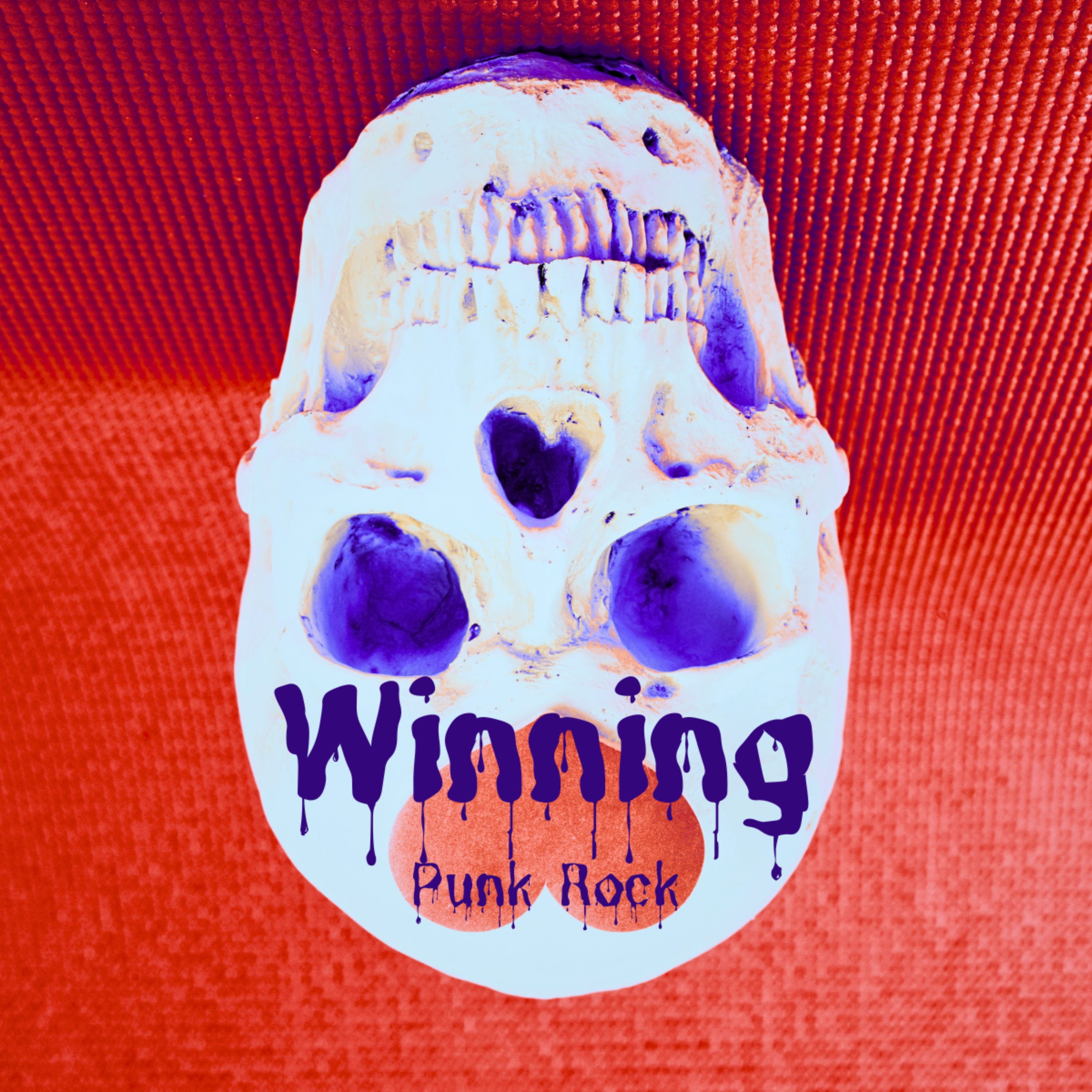 Winning Punk Rock artwork