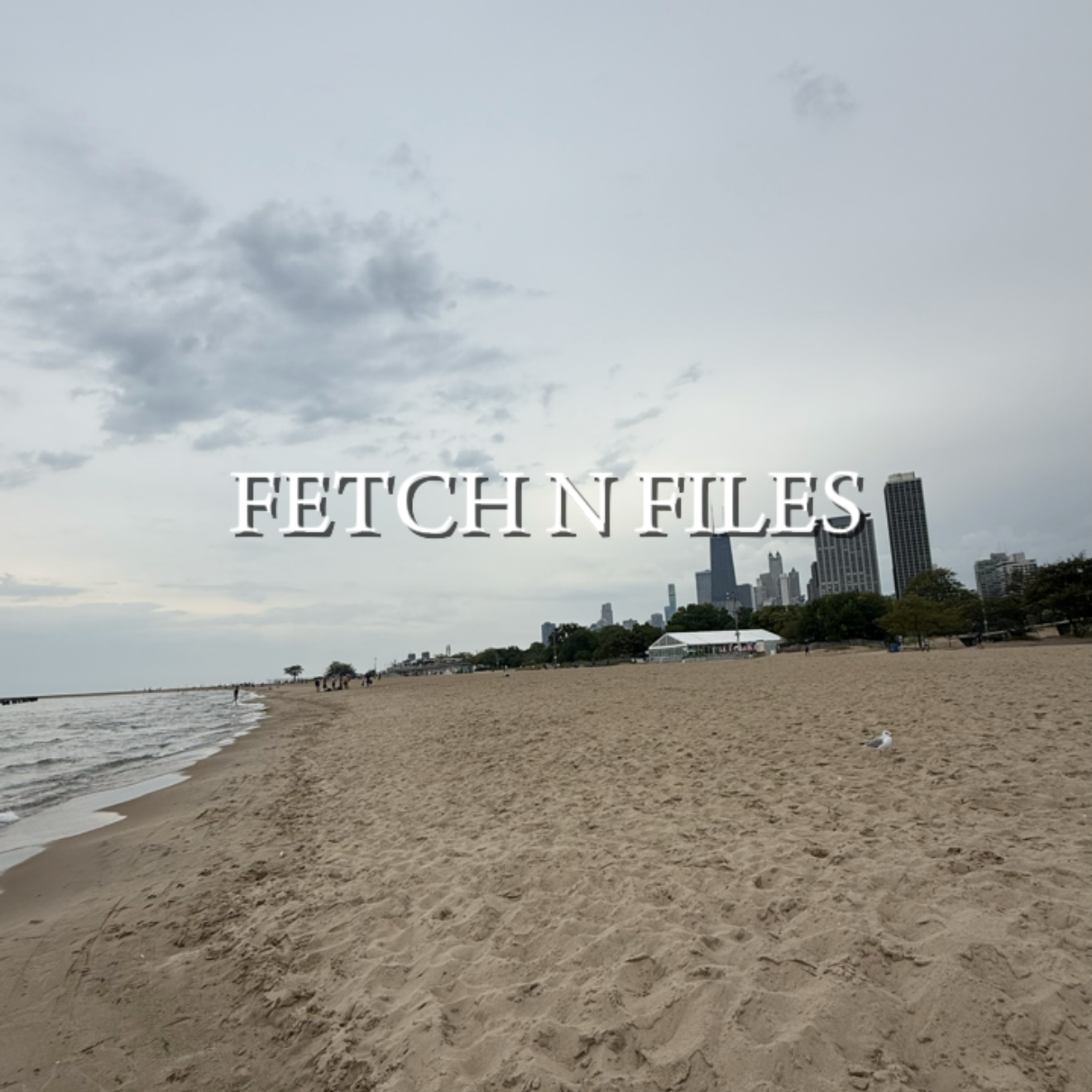 Fetch N Files artwork