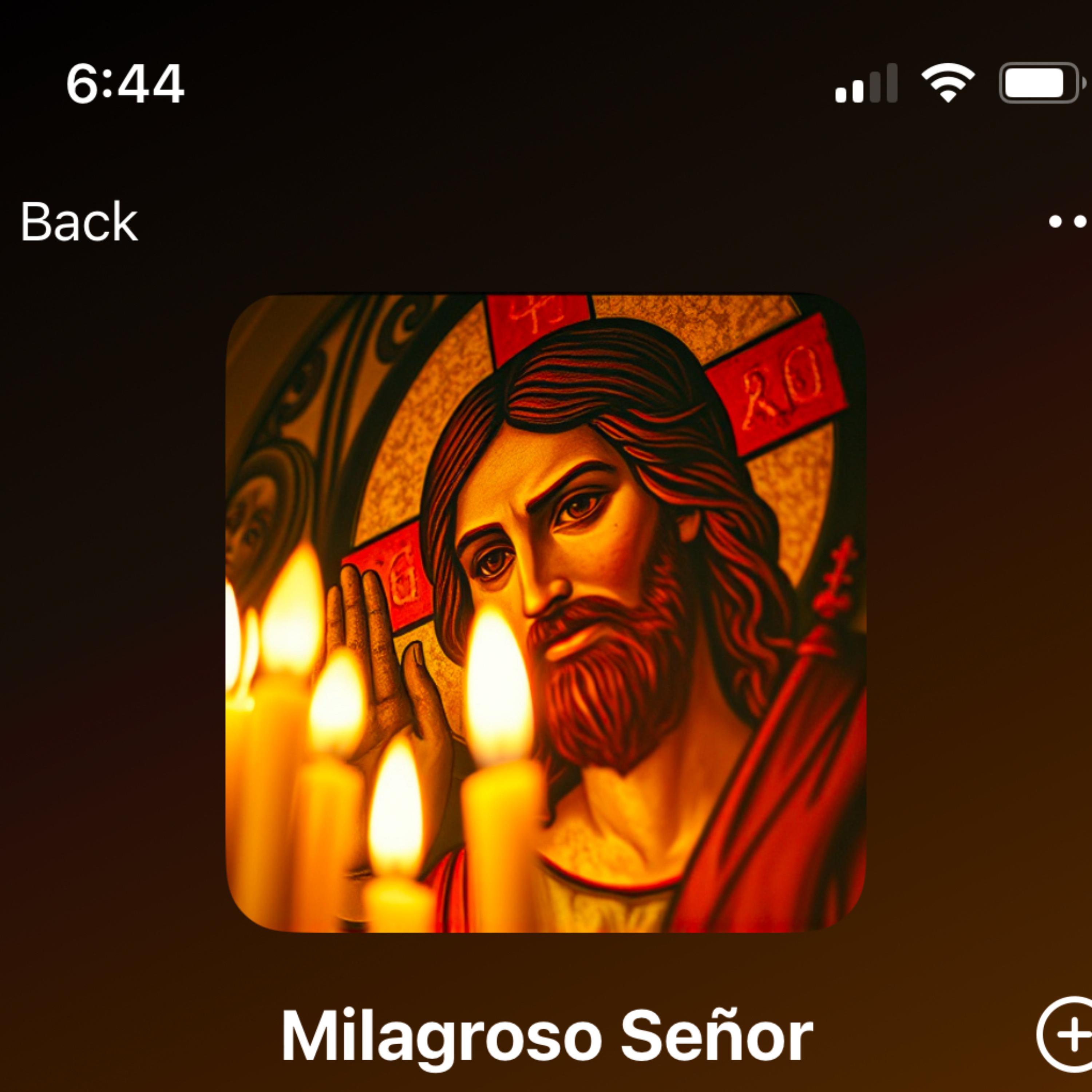 Milagroso Señor artwork