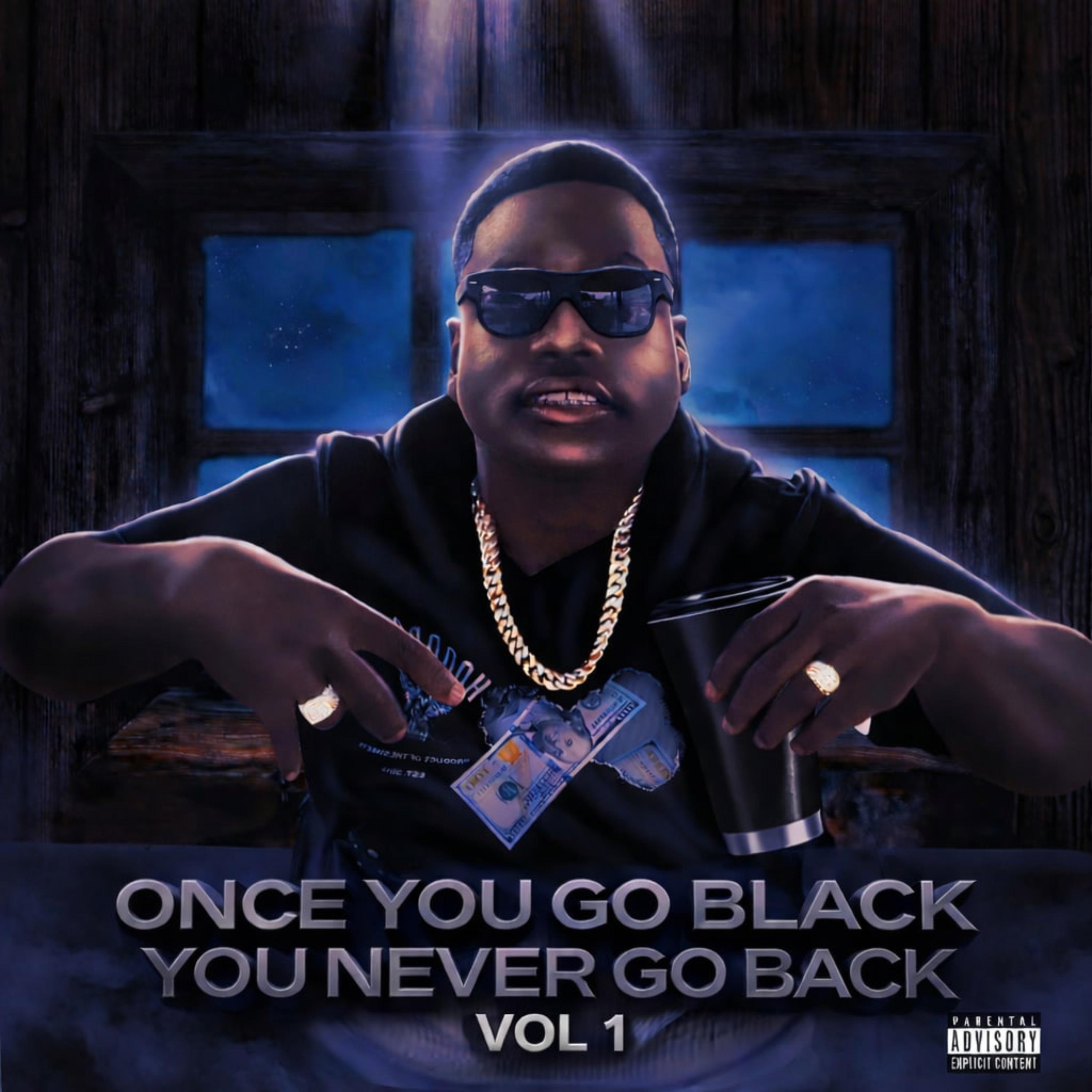 Once You Go Black You Never Go Back artwork