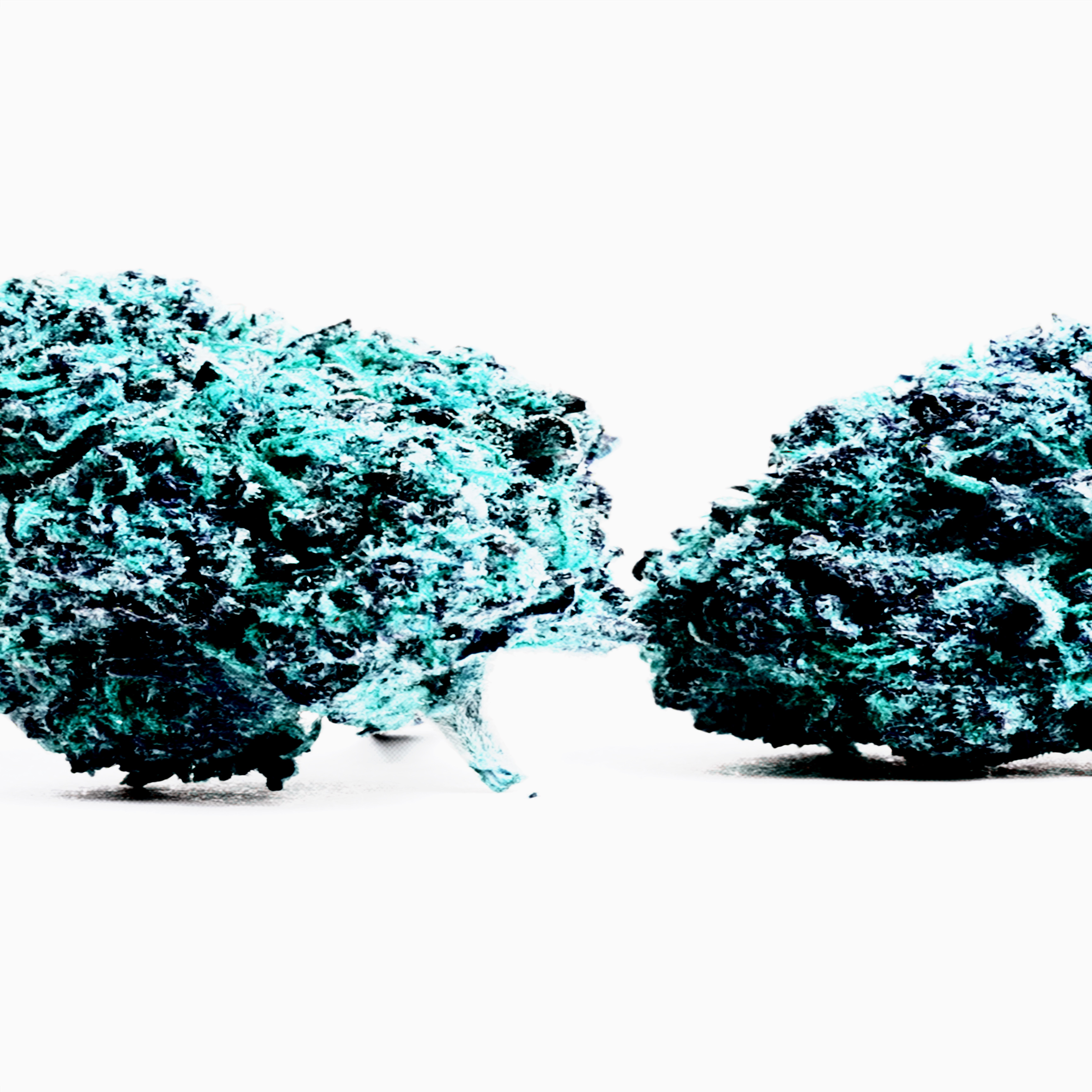 teal runtz artwork
