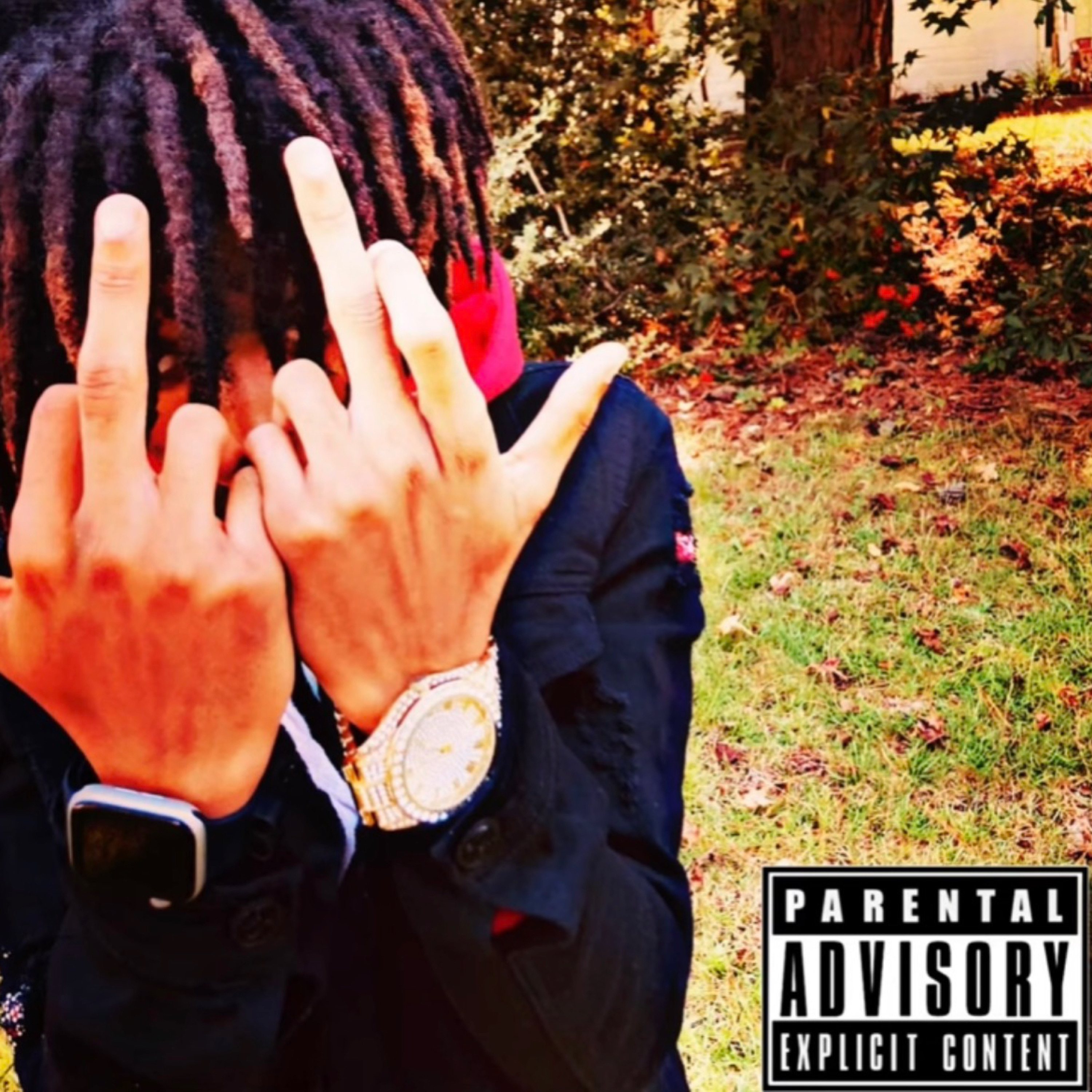 Get back artwork