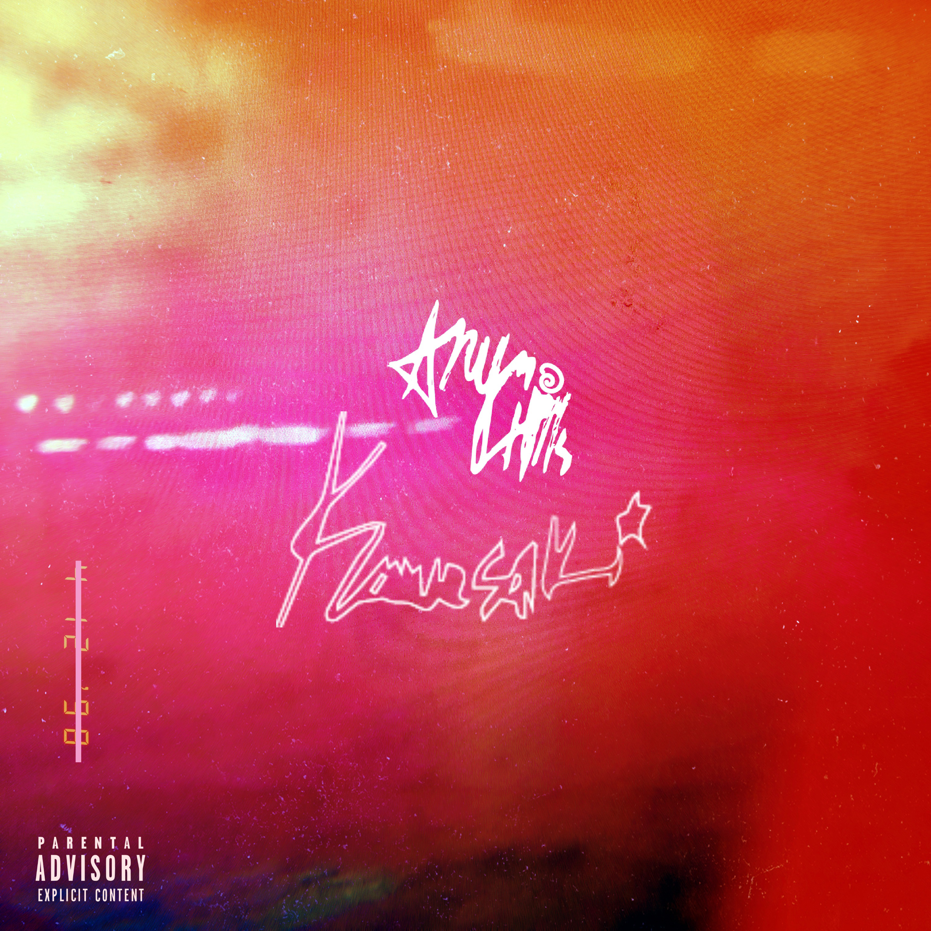 Kawasaki by Aryn Hills cover art