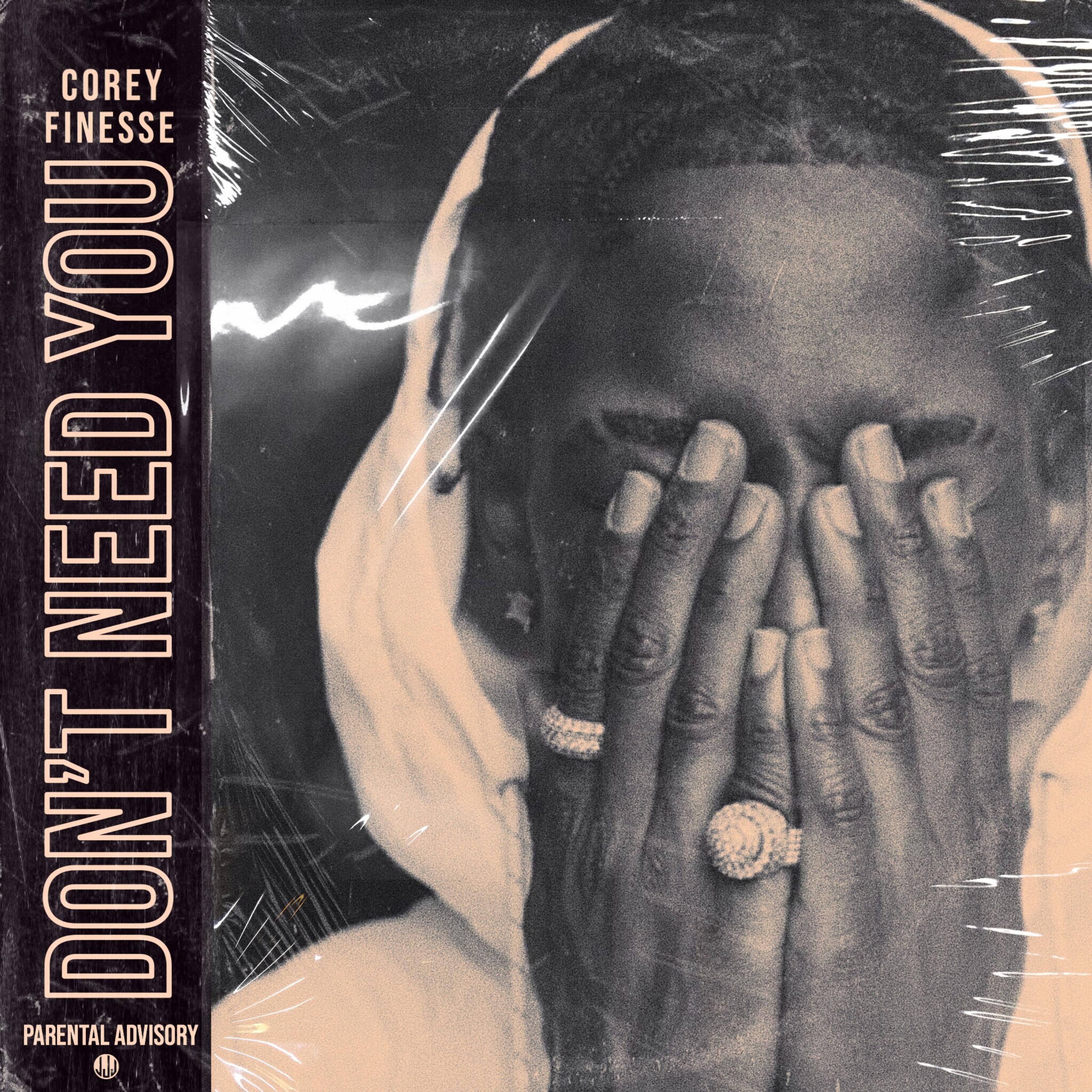 Dont Need You artwork