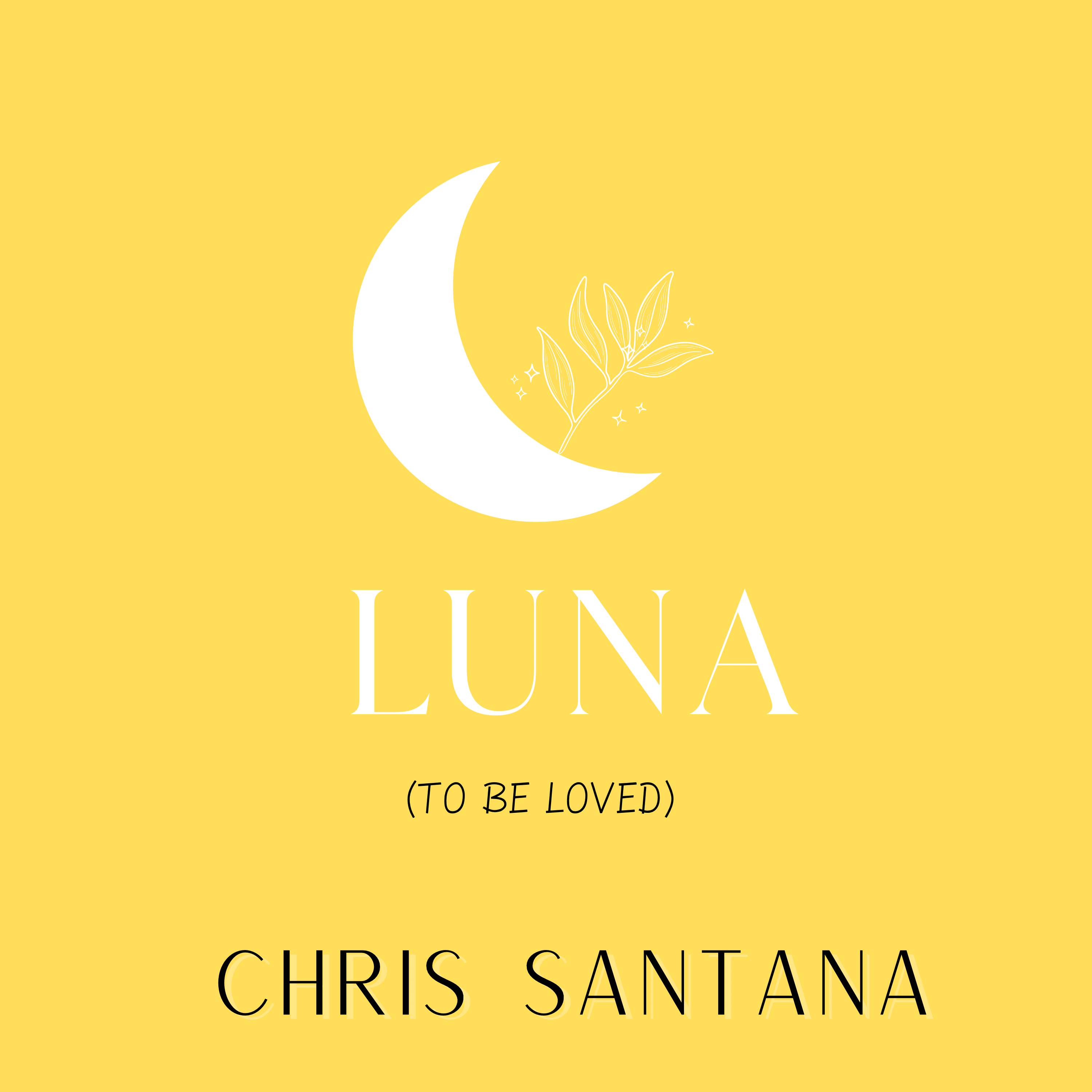 LUNA artwork