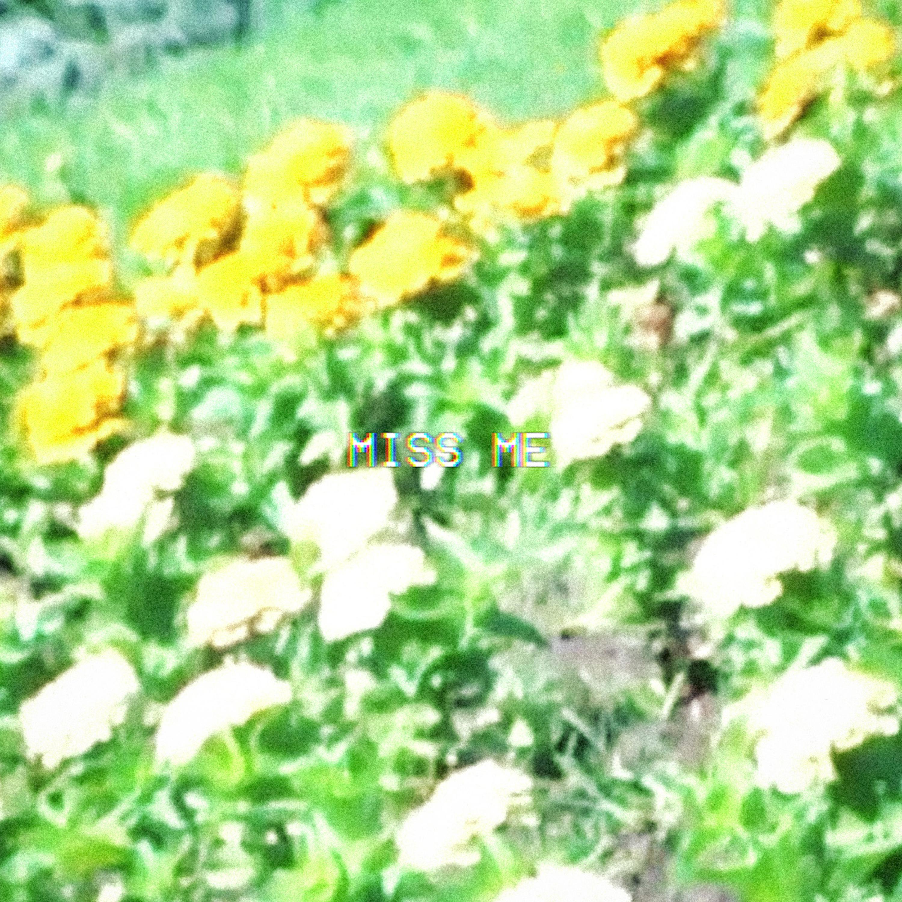 Miss Me artwork