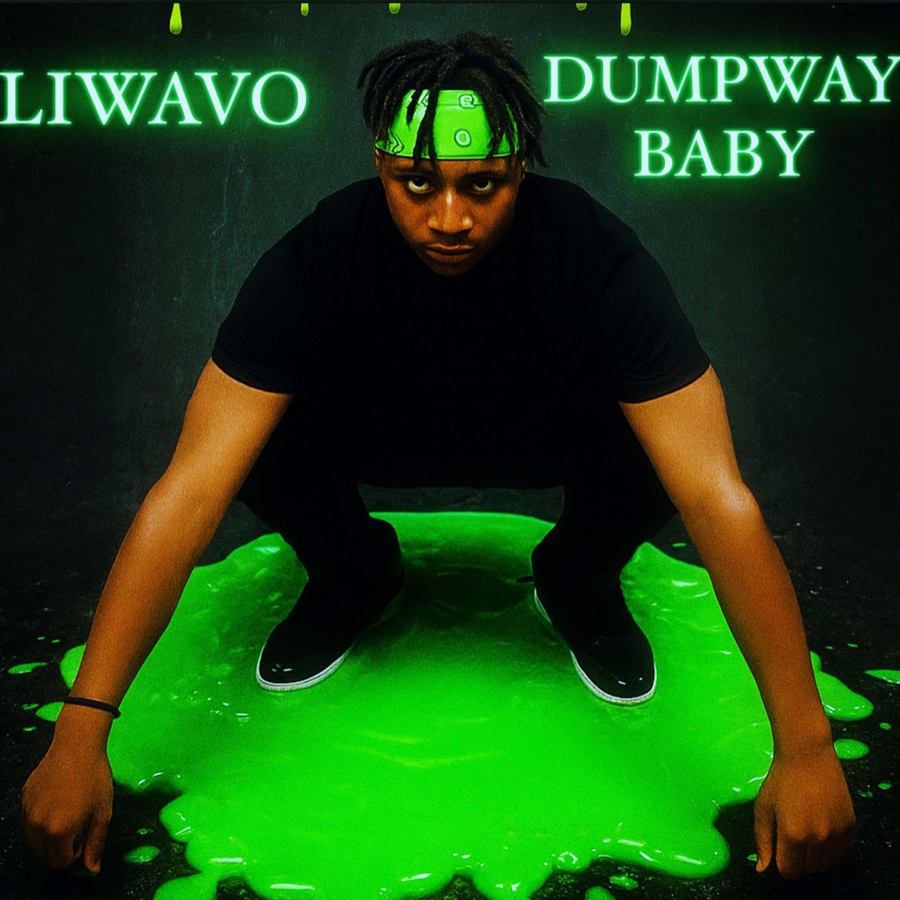 DUMPWAYBABY artwork