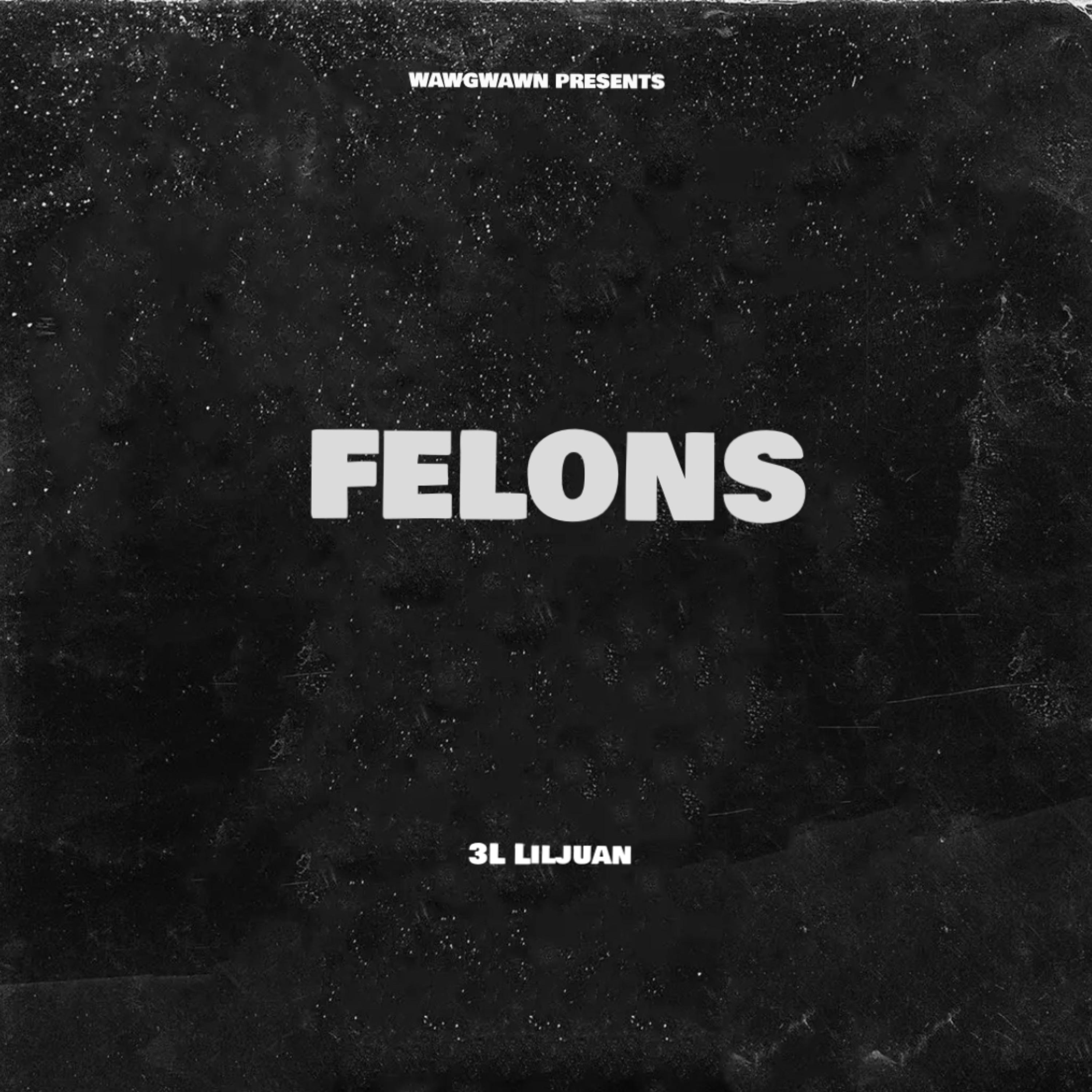 FELONS artwork