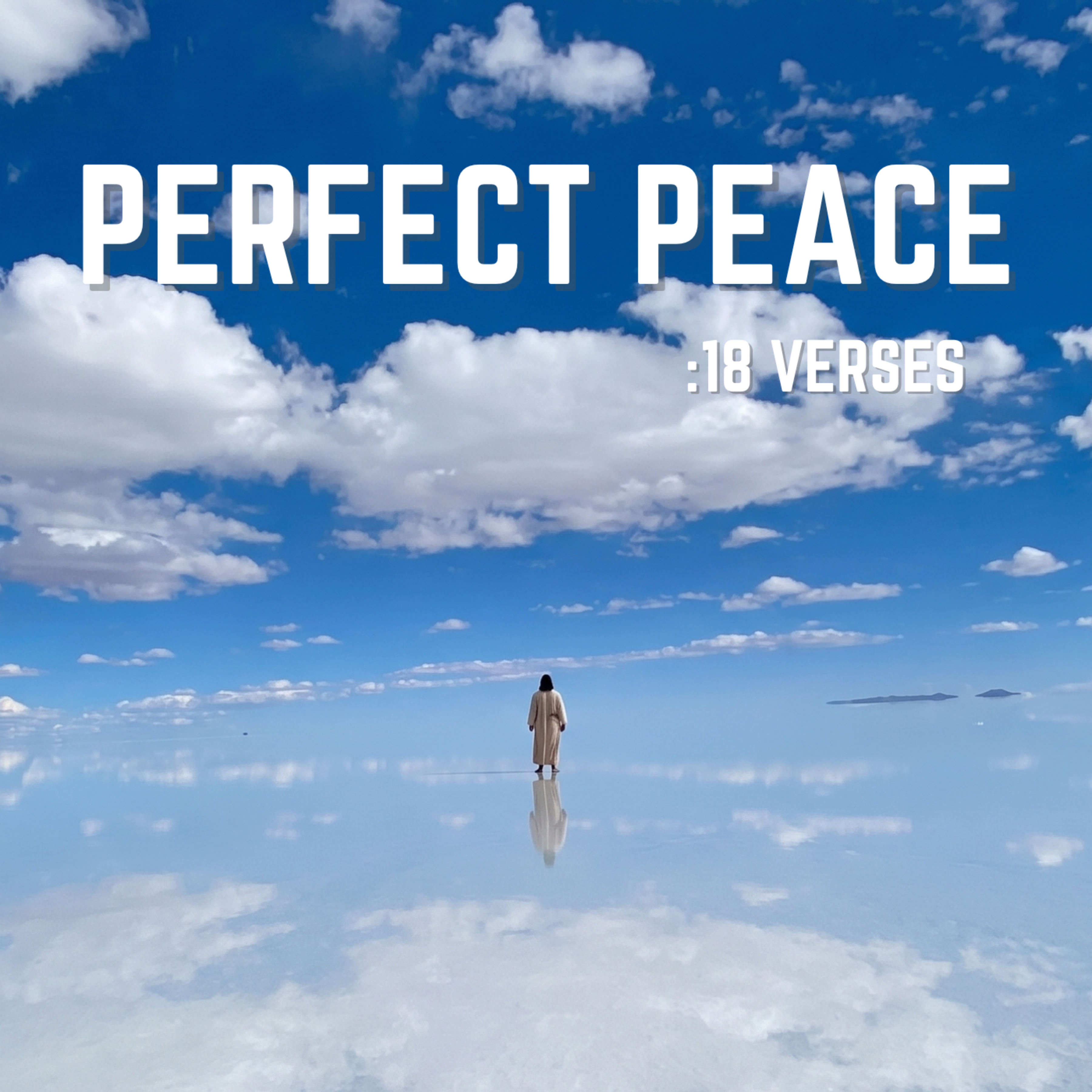Perfect Peace : 18 Verses by David Castle cover art