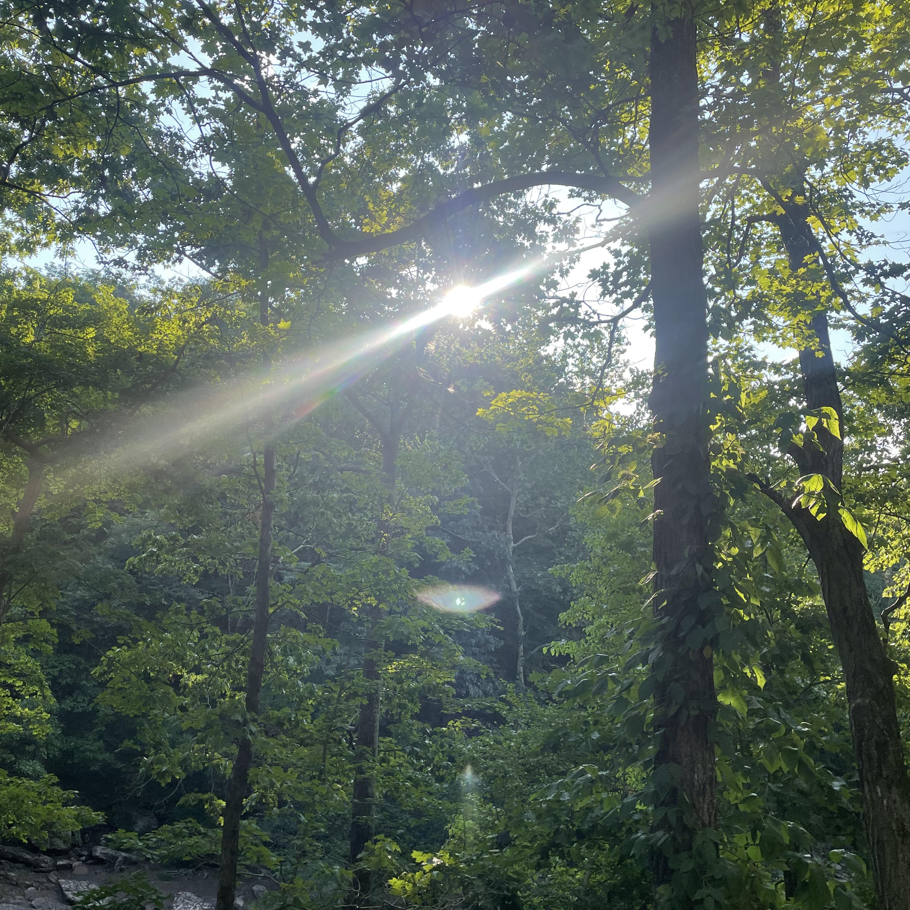 Another Story artwork