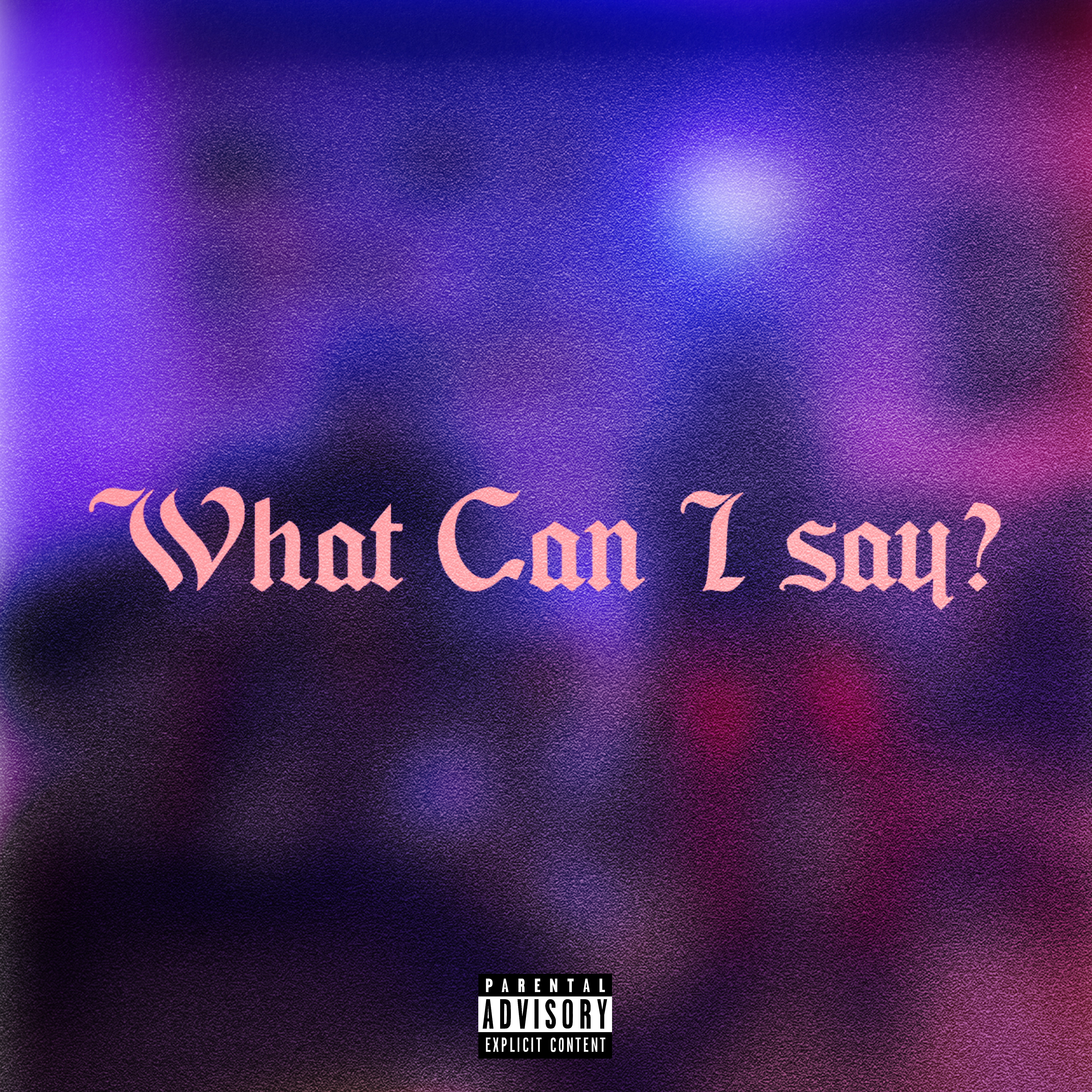 What Can I Say? artwork