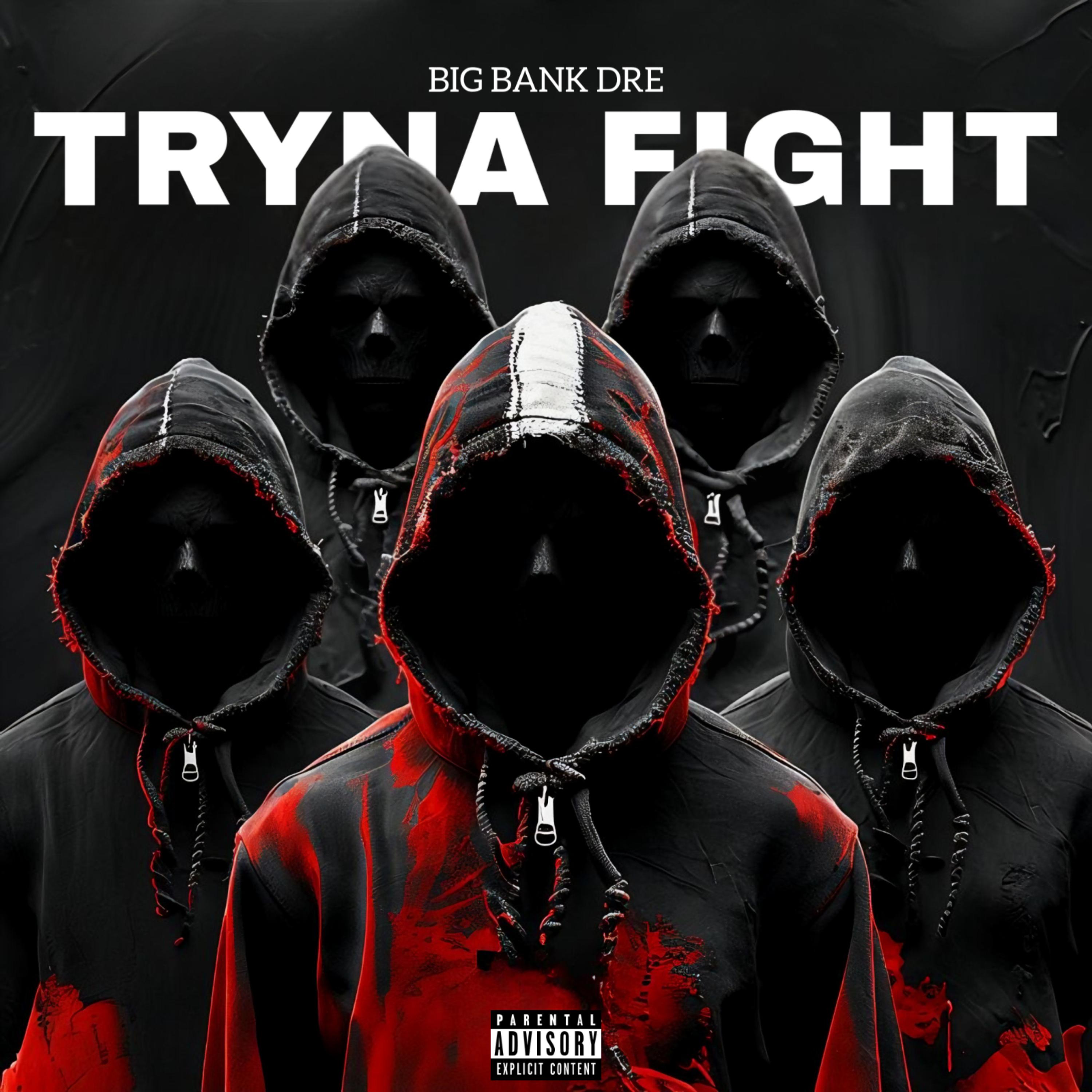 Tryna Fight artwork