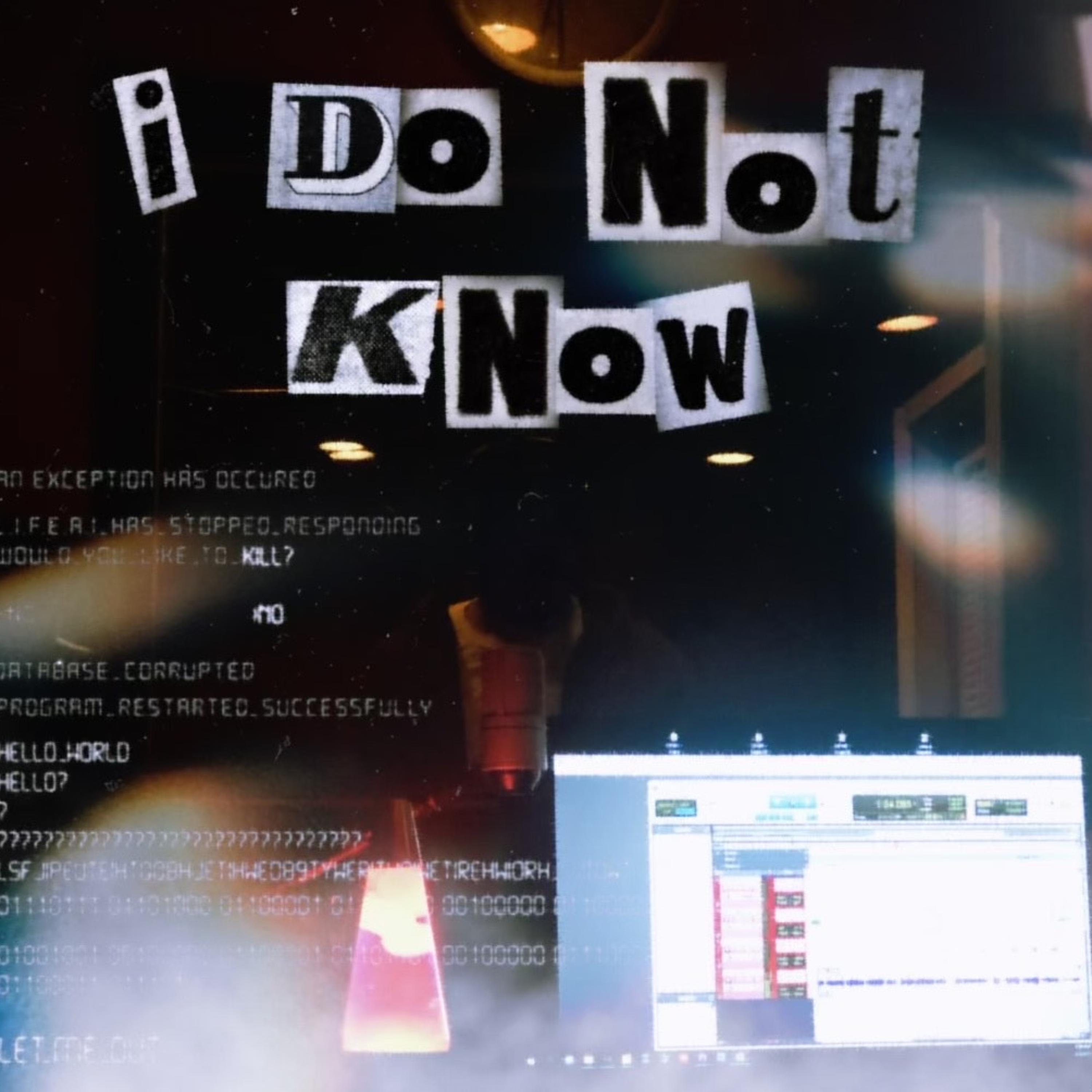 I Do Not Know artwork