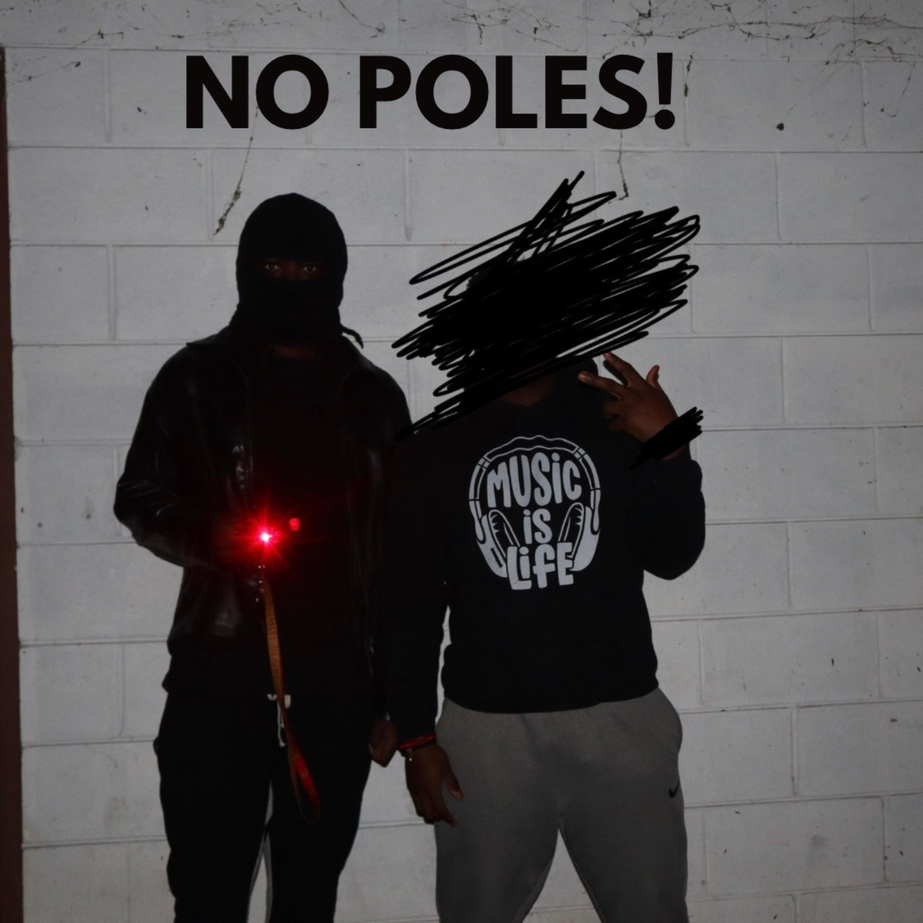NO POLES! artwork