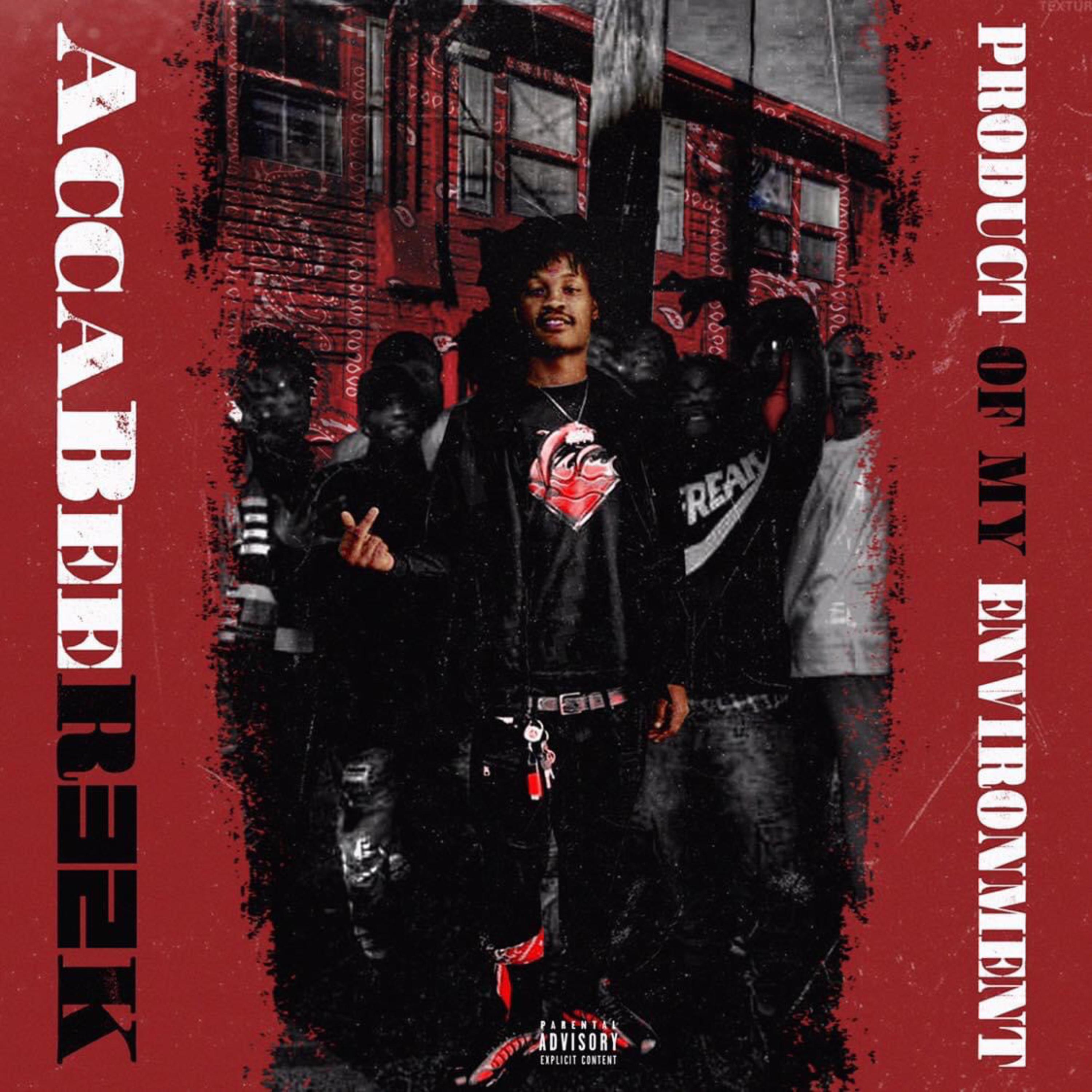 Product Of My Environment artwork