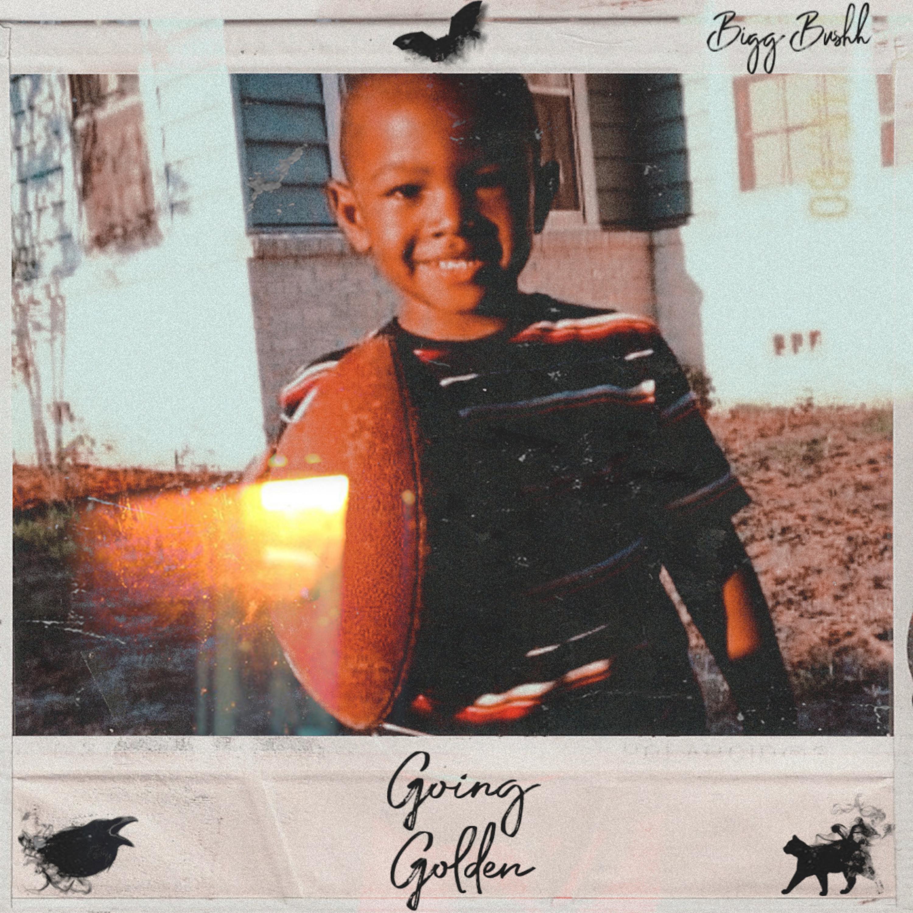 Going Golden by Bigg Bushh cover art