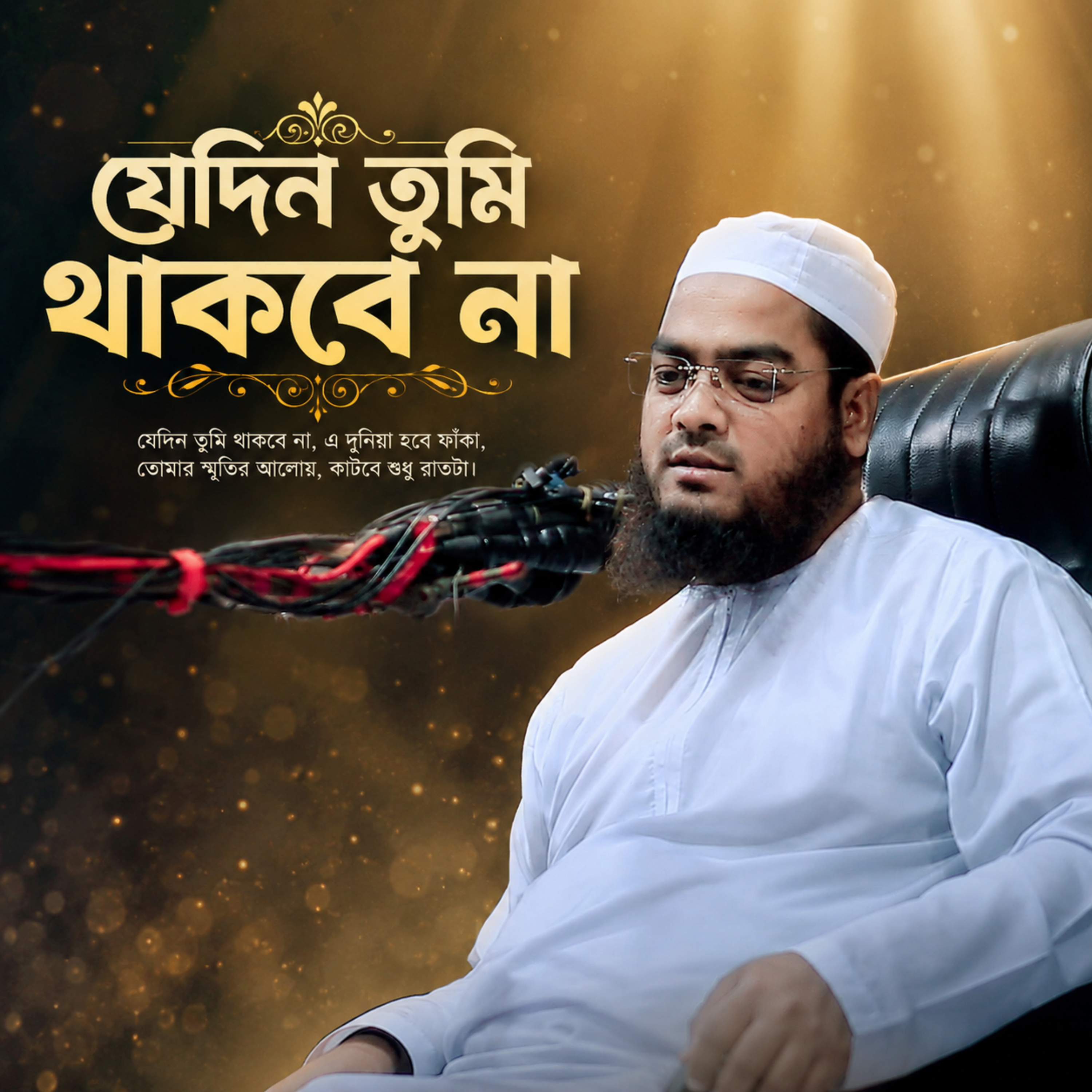 যেদিন তুমি থাকবে না ( Jedin Tu Thakbena) by Hafizur Rahman Siddique cover art