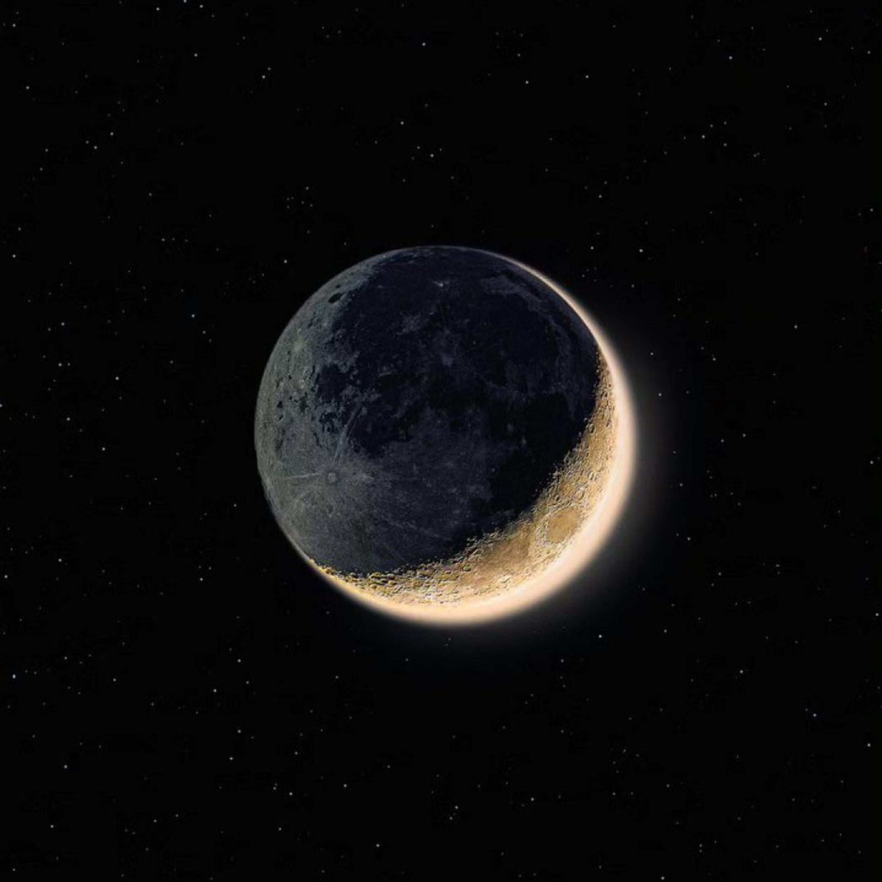 Everything I Want artwork