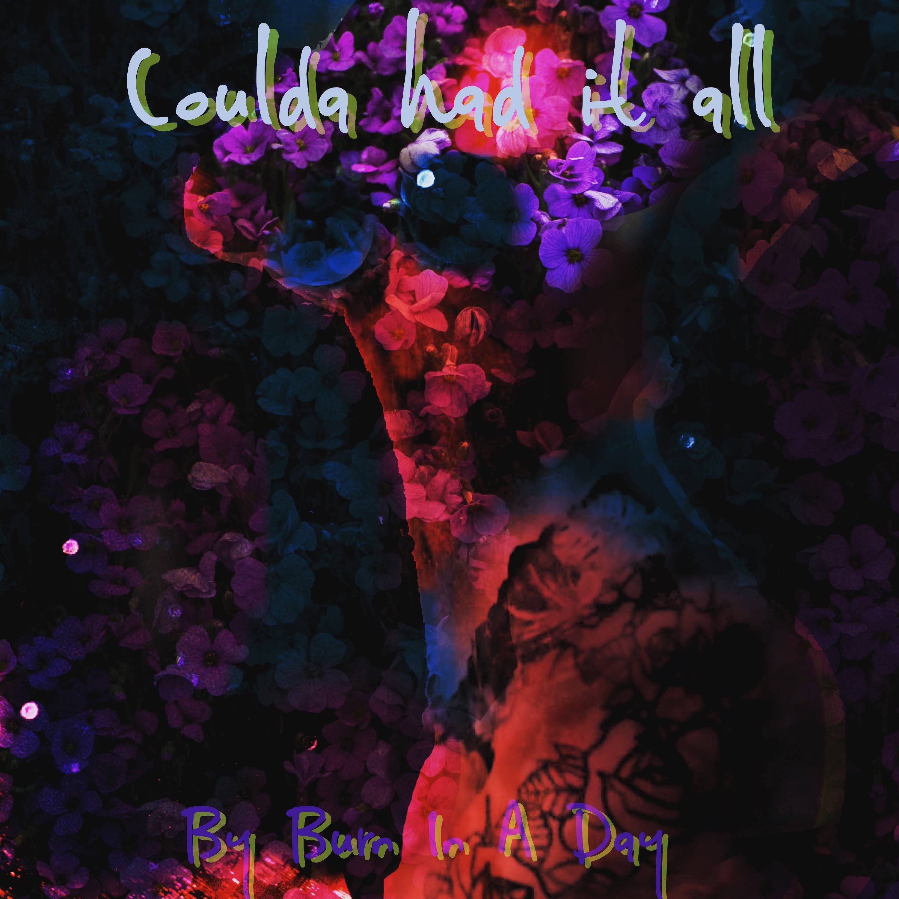 Coulda Had It All artwork