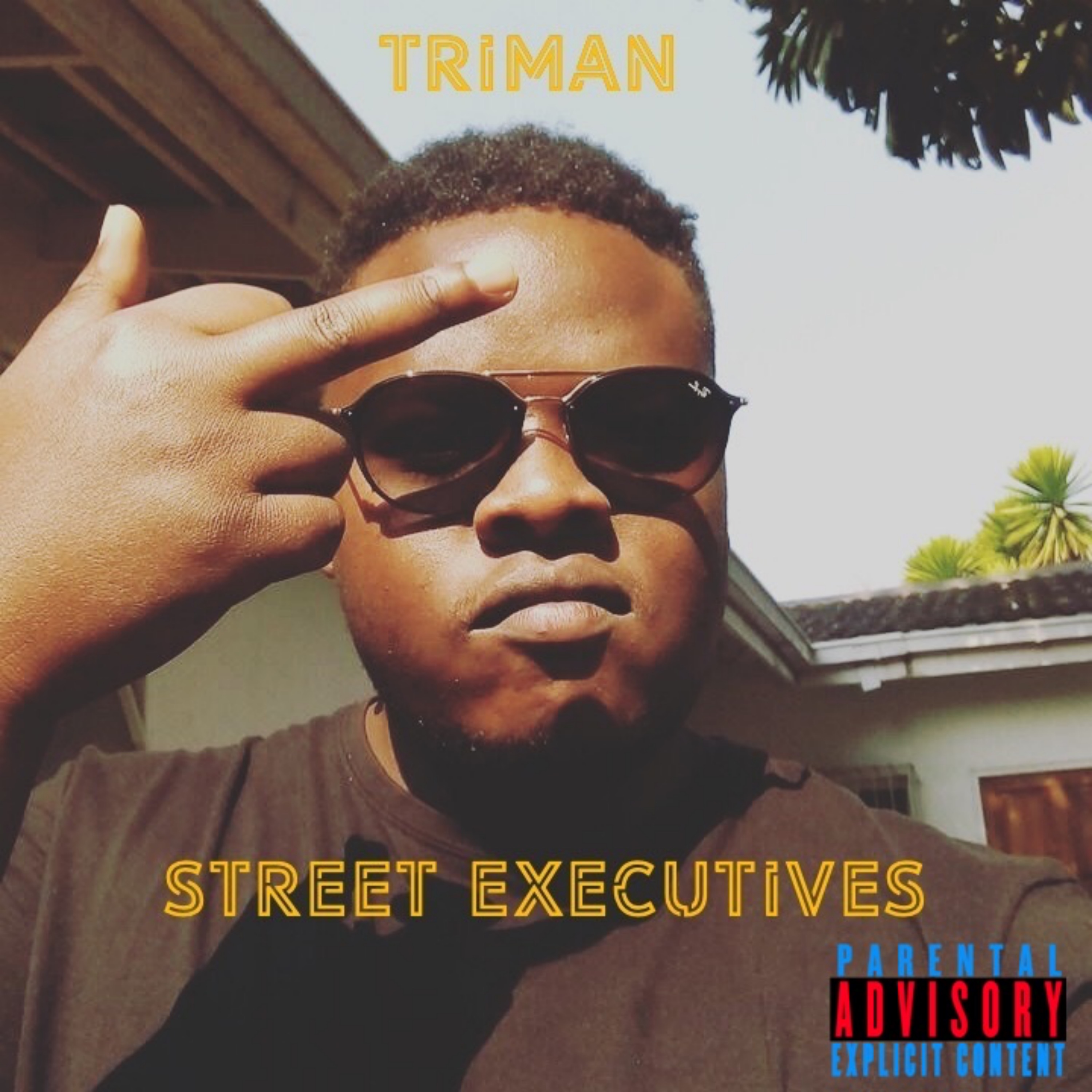 Street Executives artwork