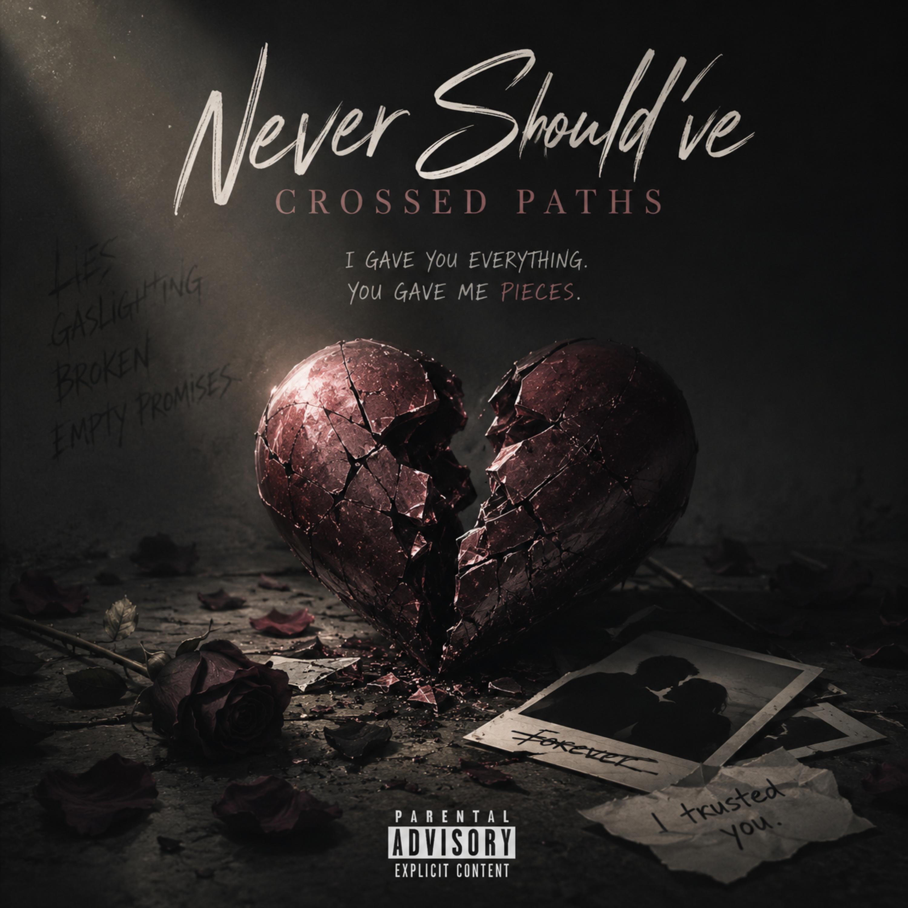 Never Should’ve Crossed Paths by Char Phoenix cover art