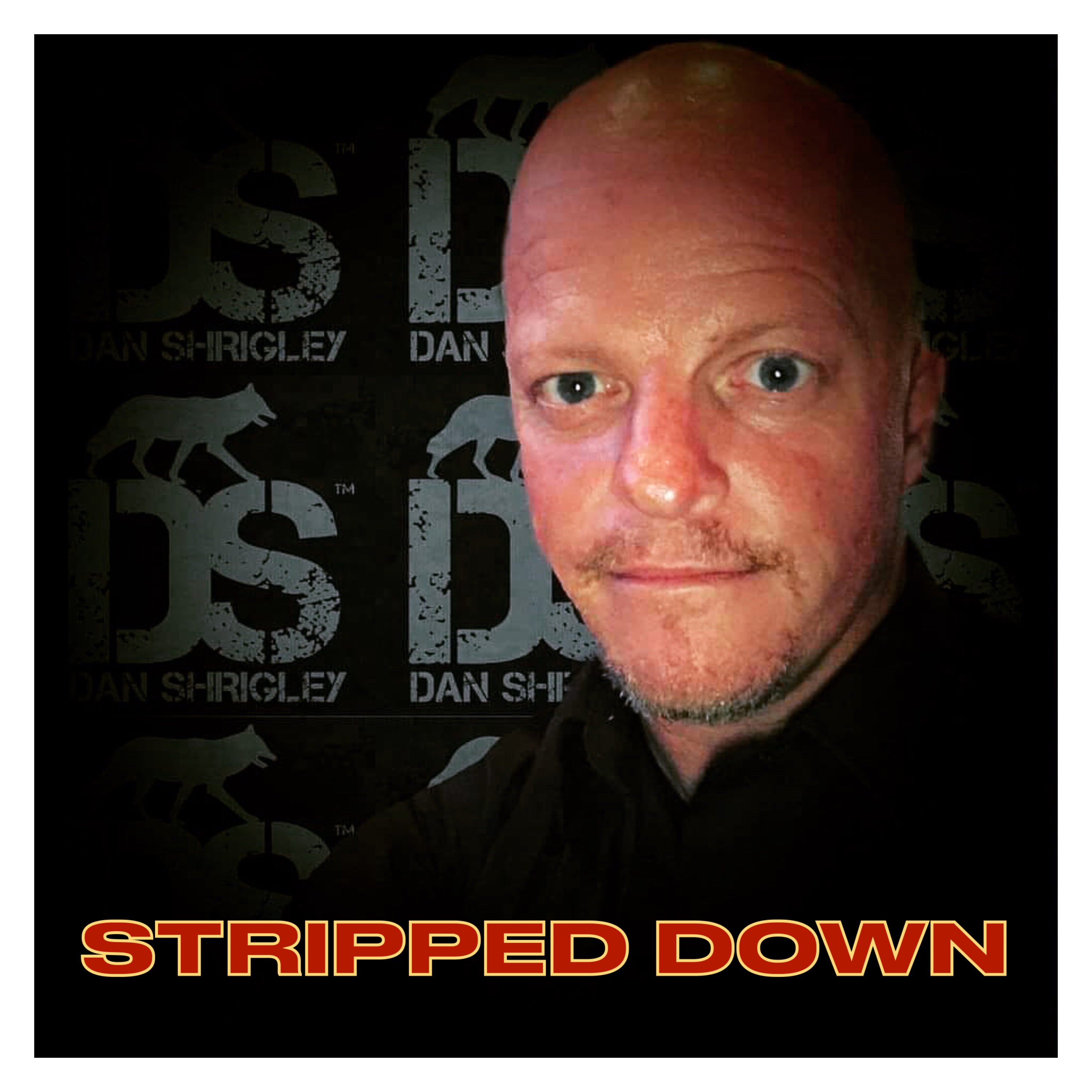 STRIPPED DOWN artwork