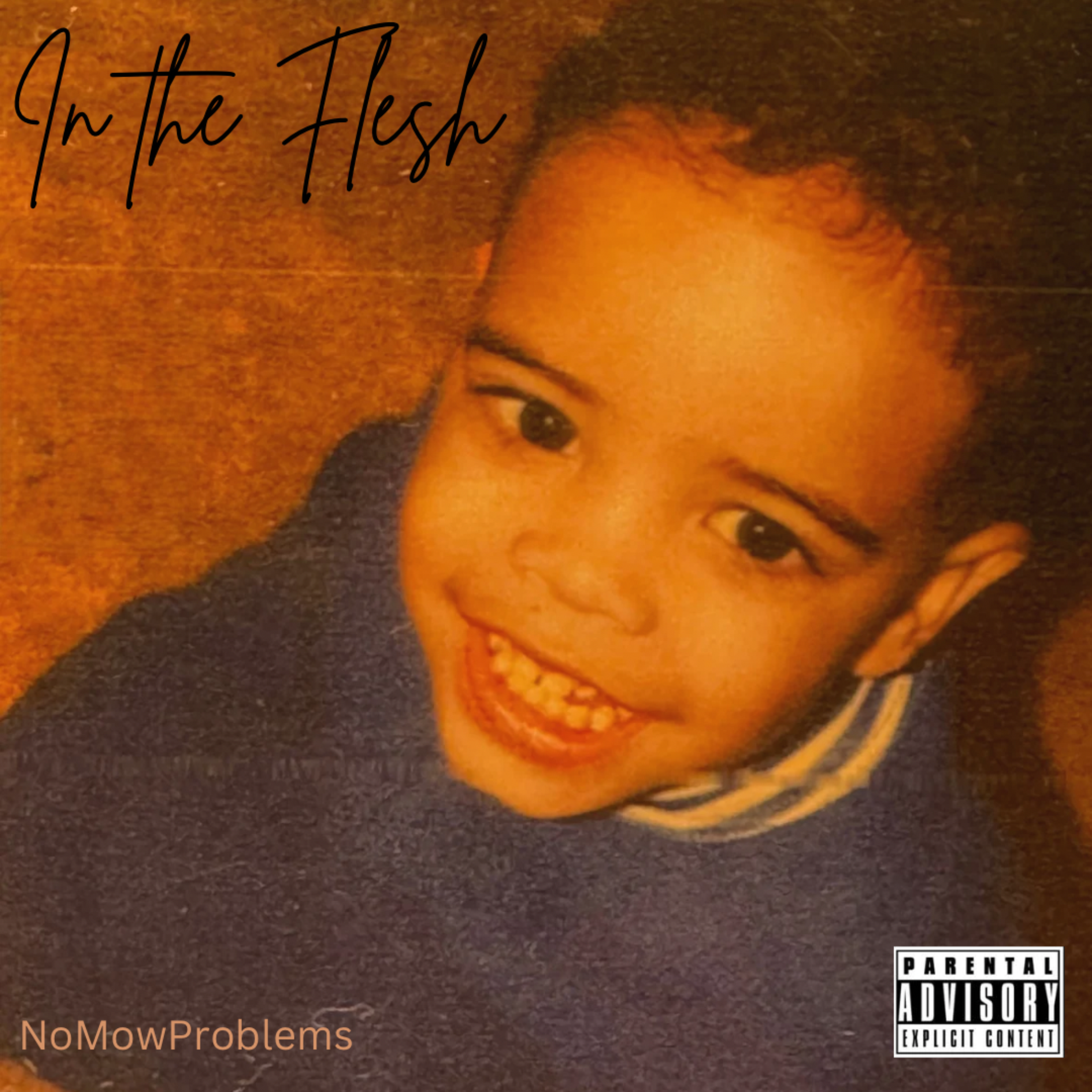 In The Flesh artwork