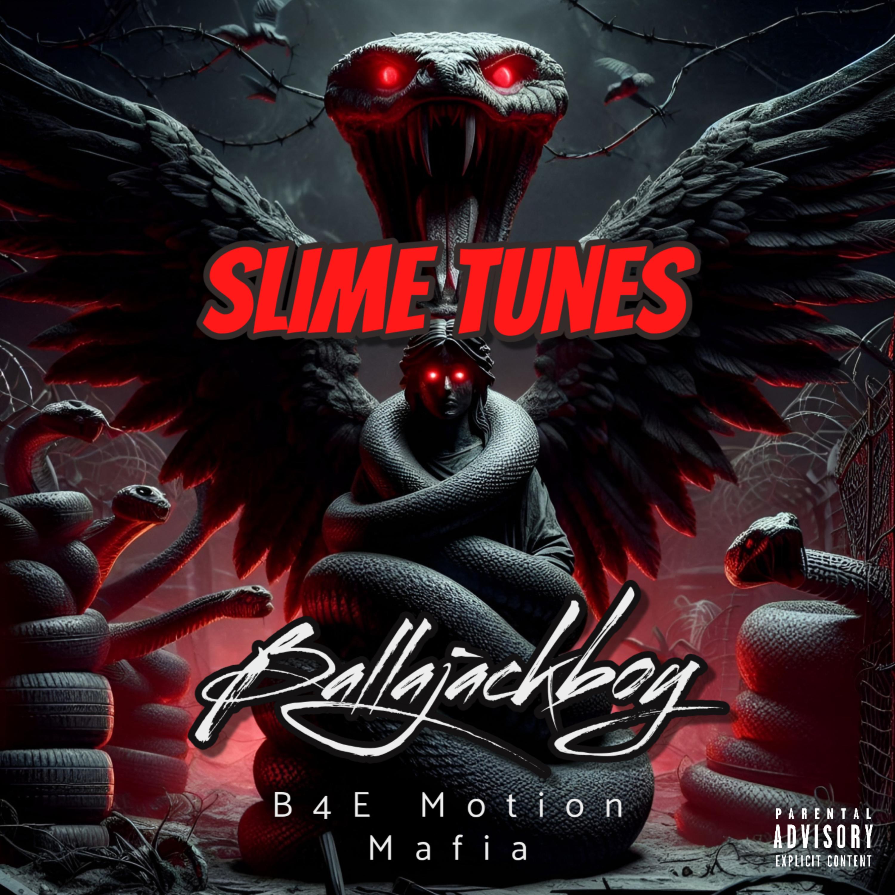 Slime Tunes artwork