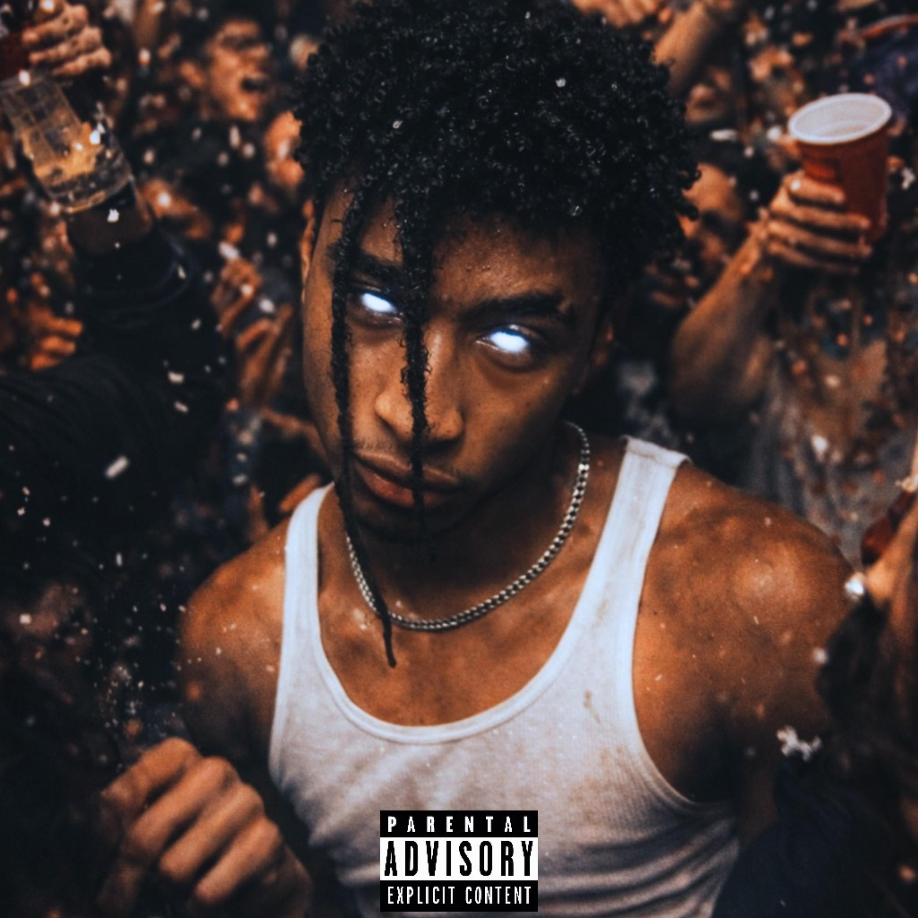She Just Wanna Have Fun artwork