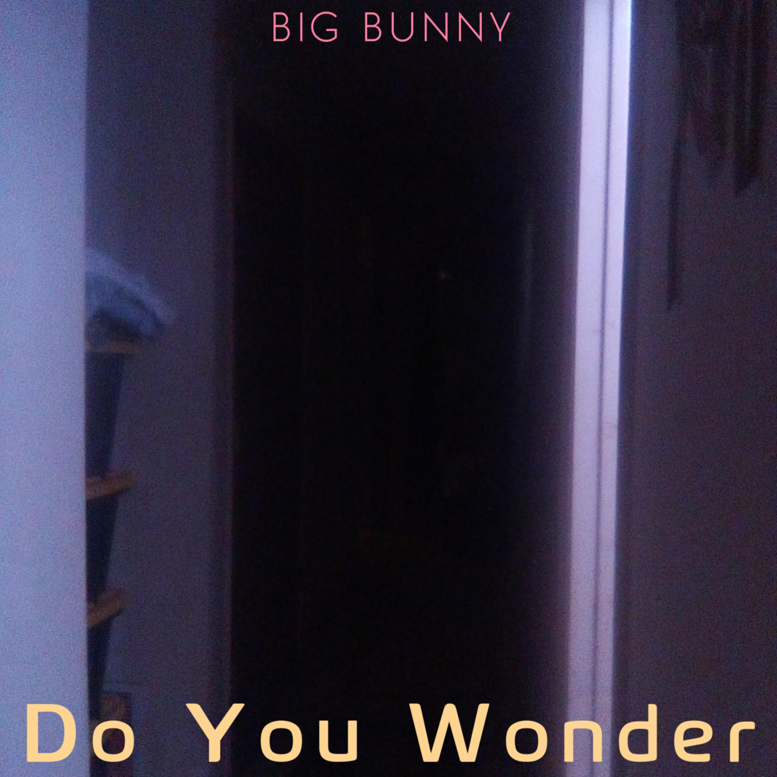Do You Wonder artwork
