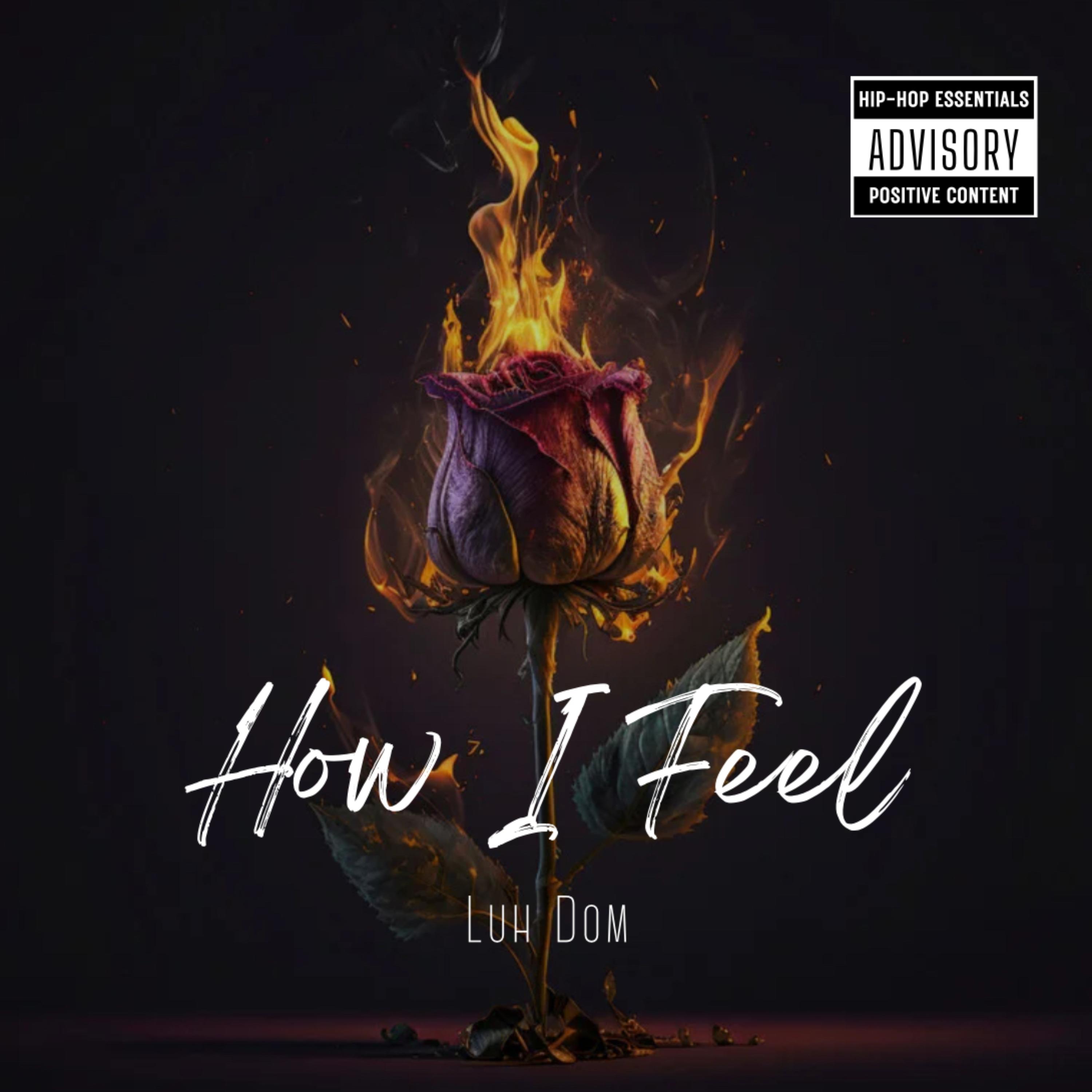 How I Feel artwork