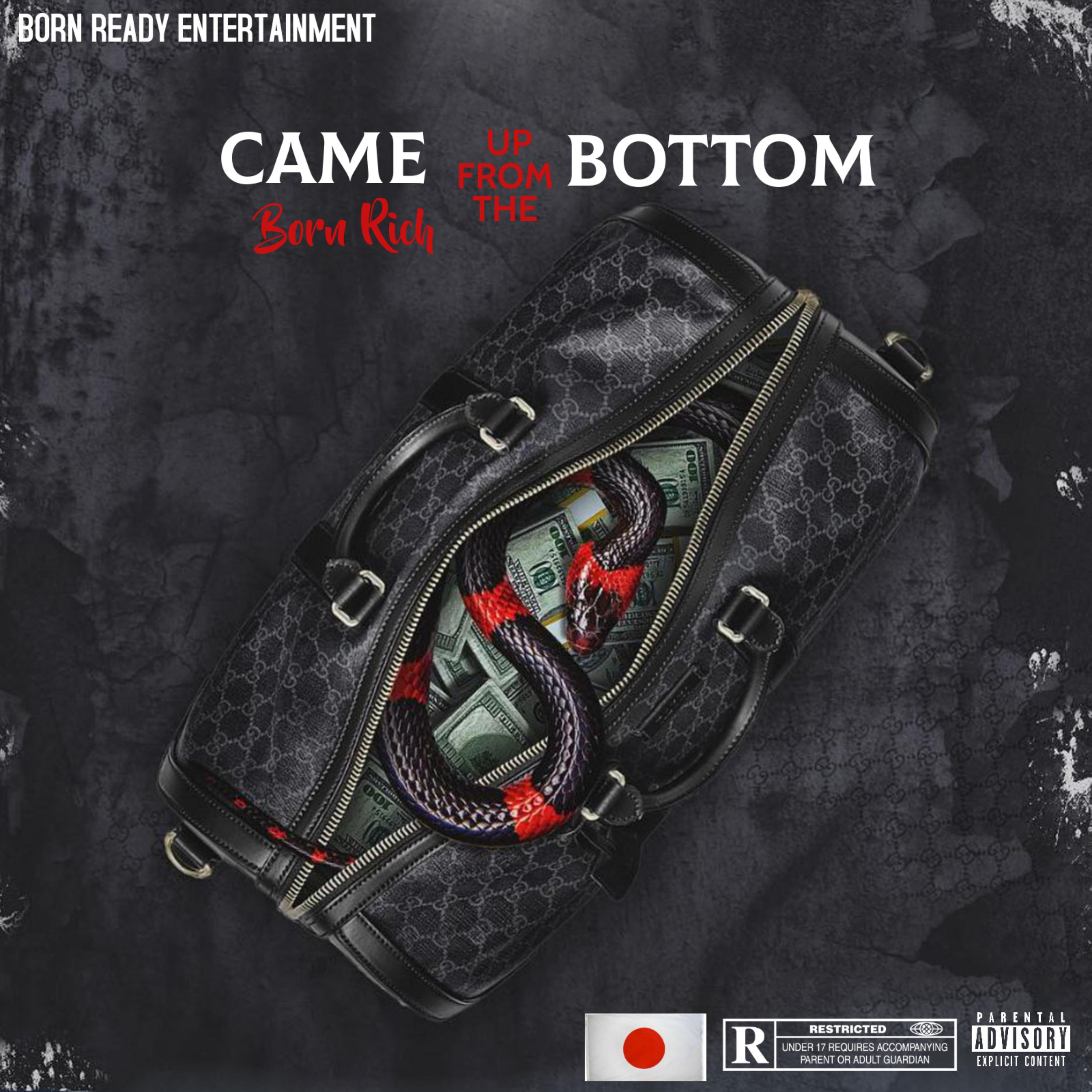Came Up From The Bottom artwork