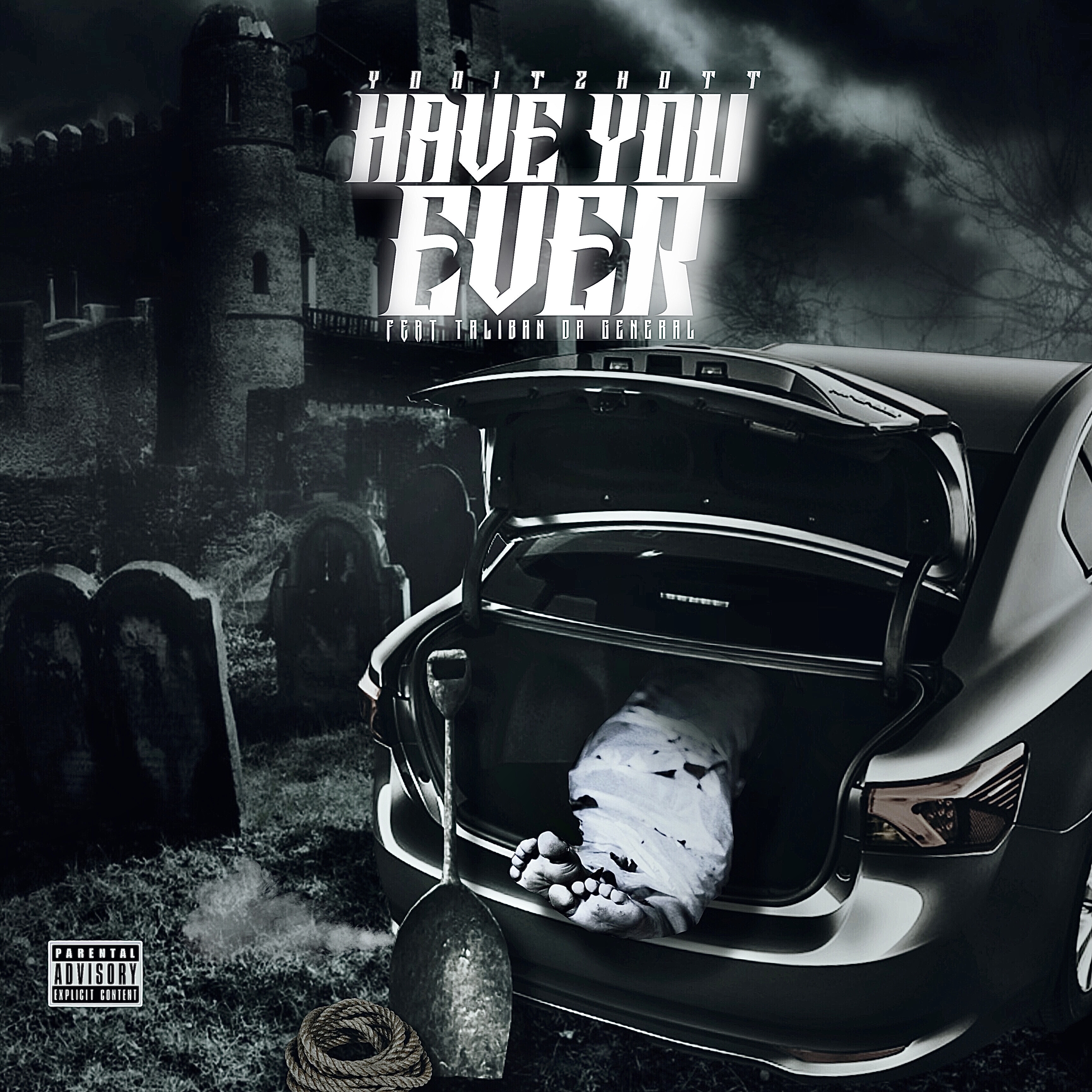 Haveyouever artwork