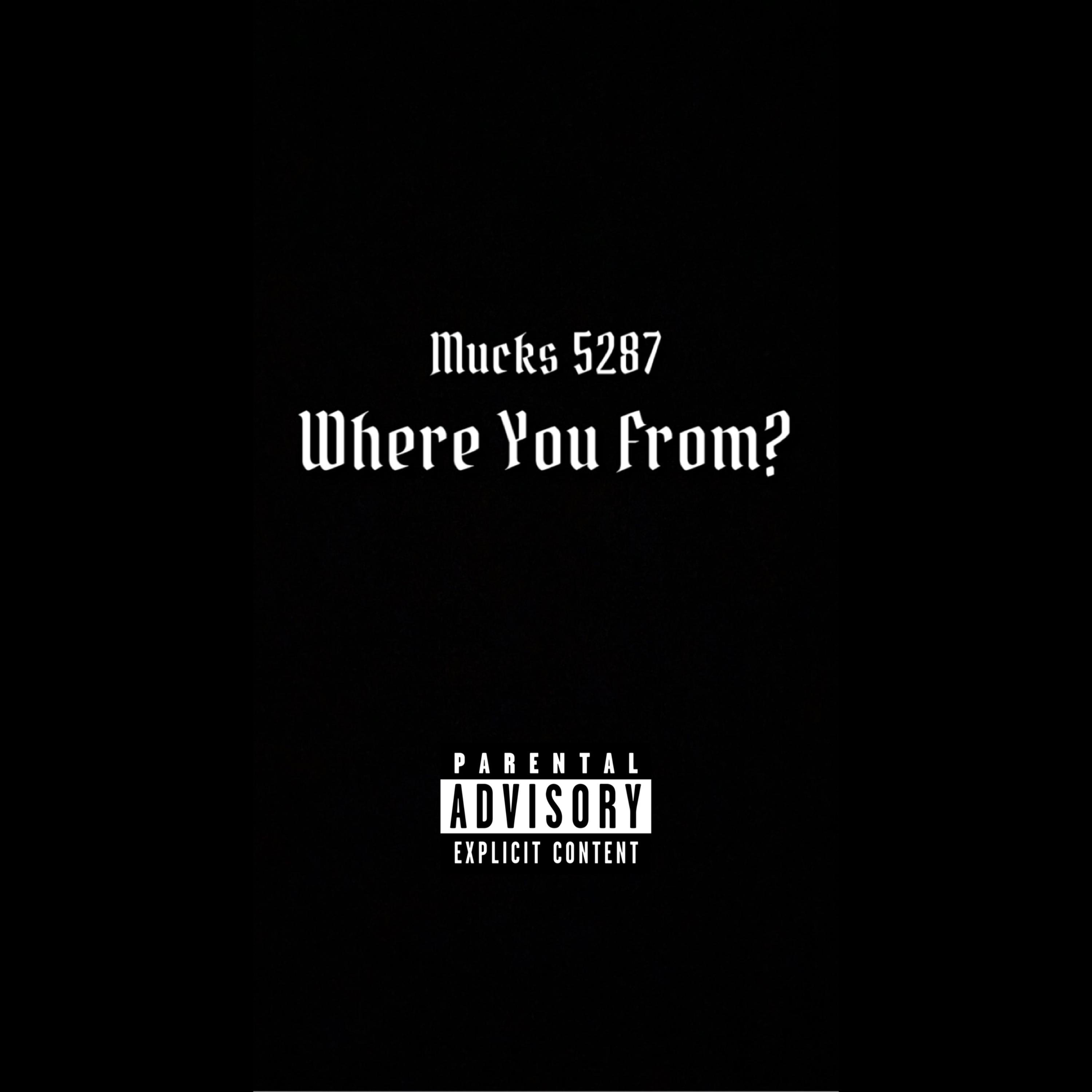 Where You From? artwork