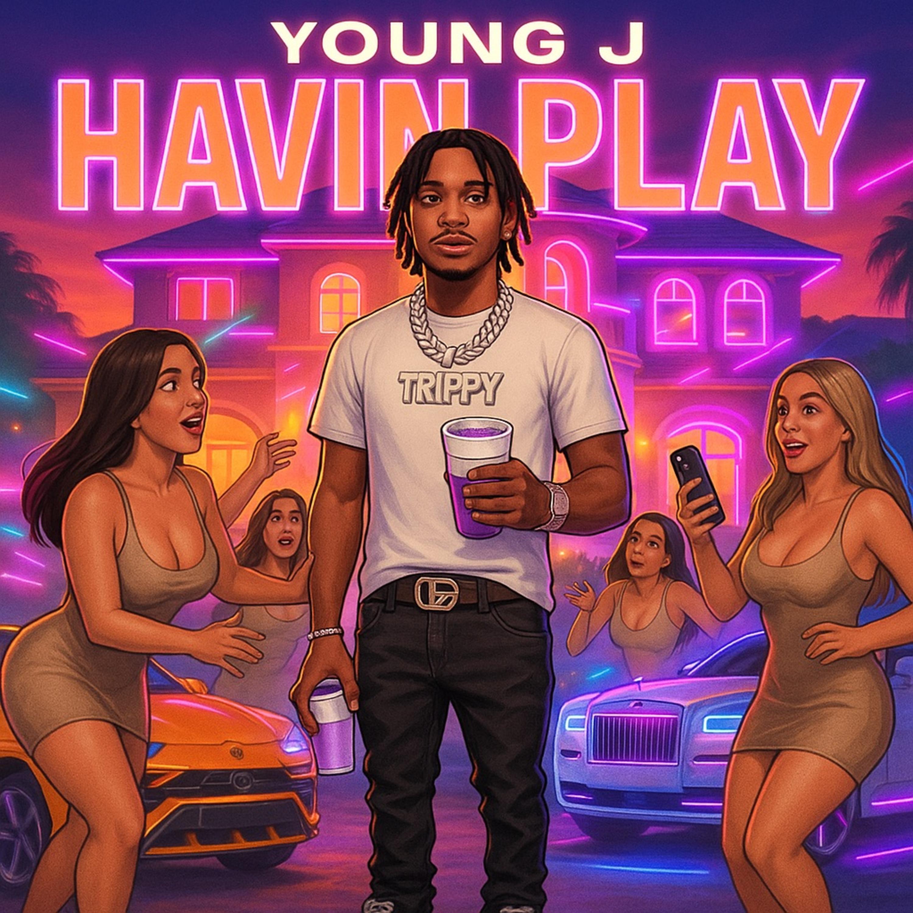 HAVIN PLAY artwork