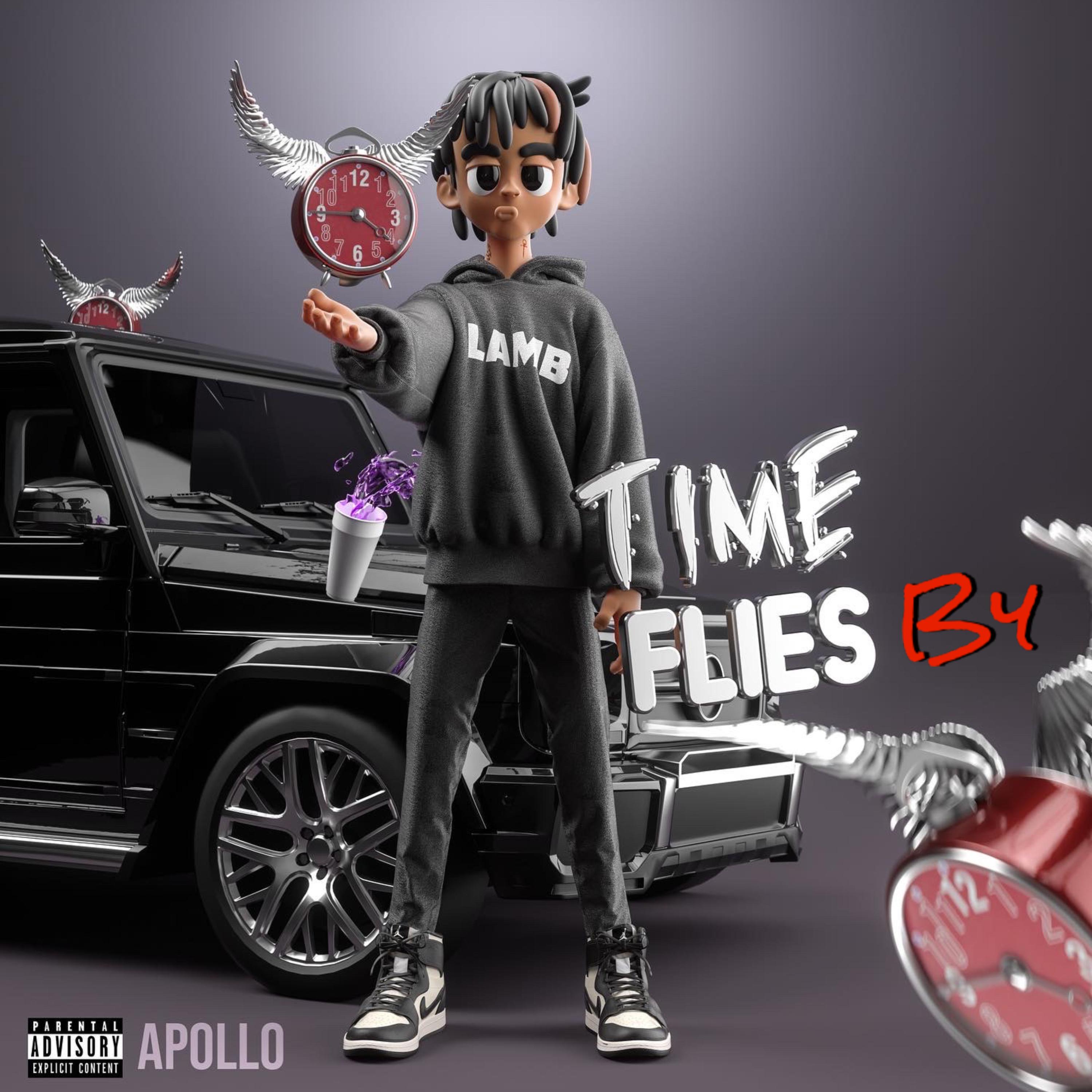 Time Flies By ! artwork