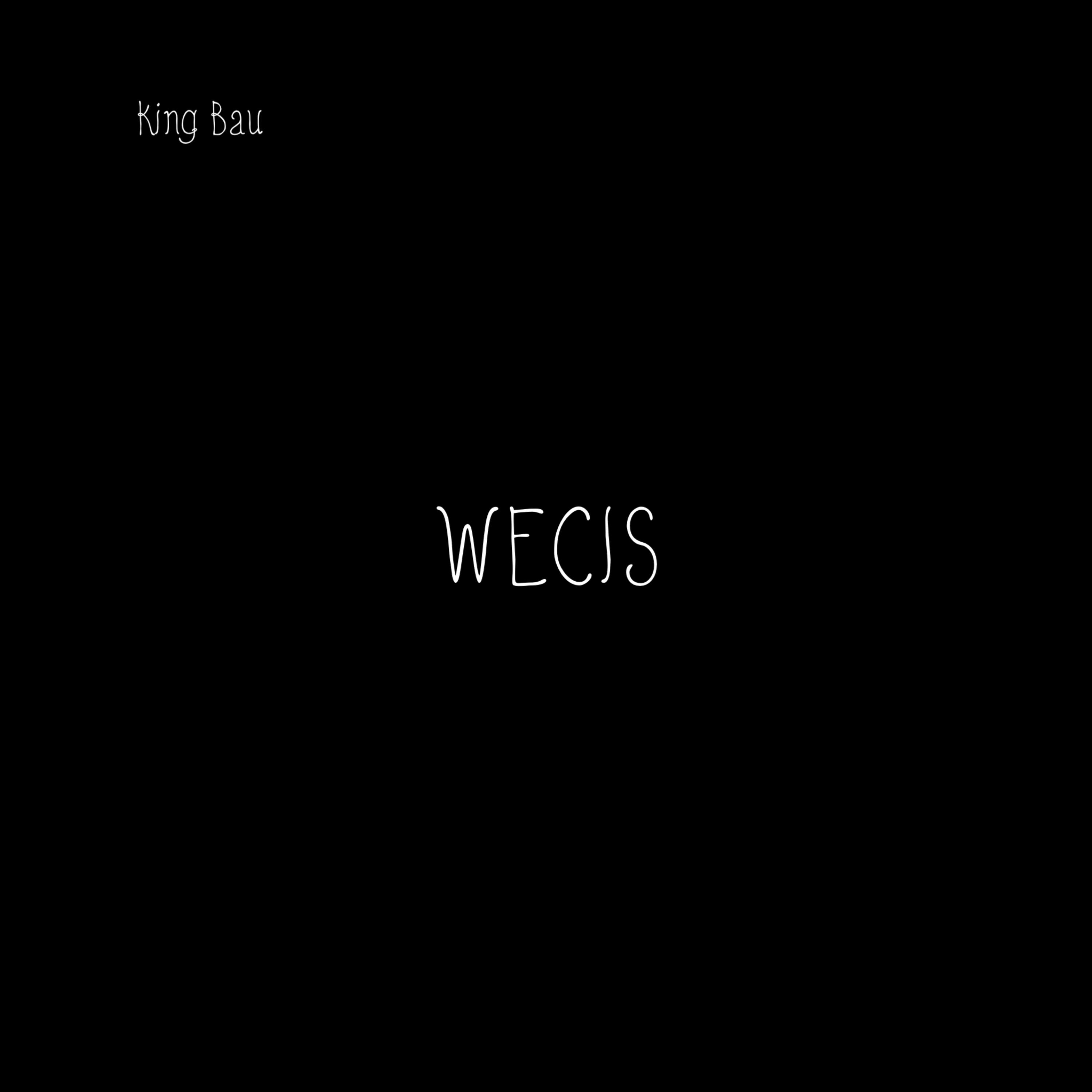 WECIS artwork