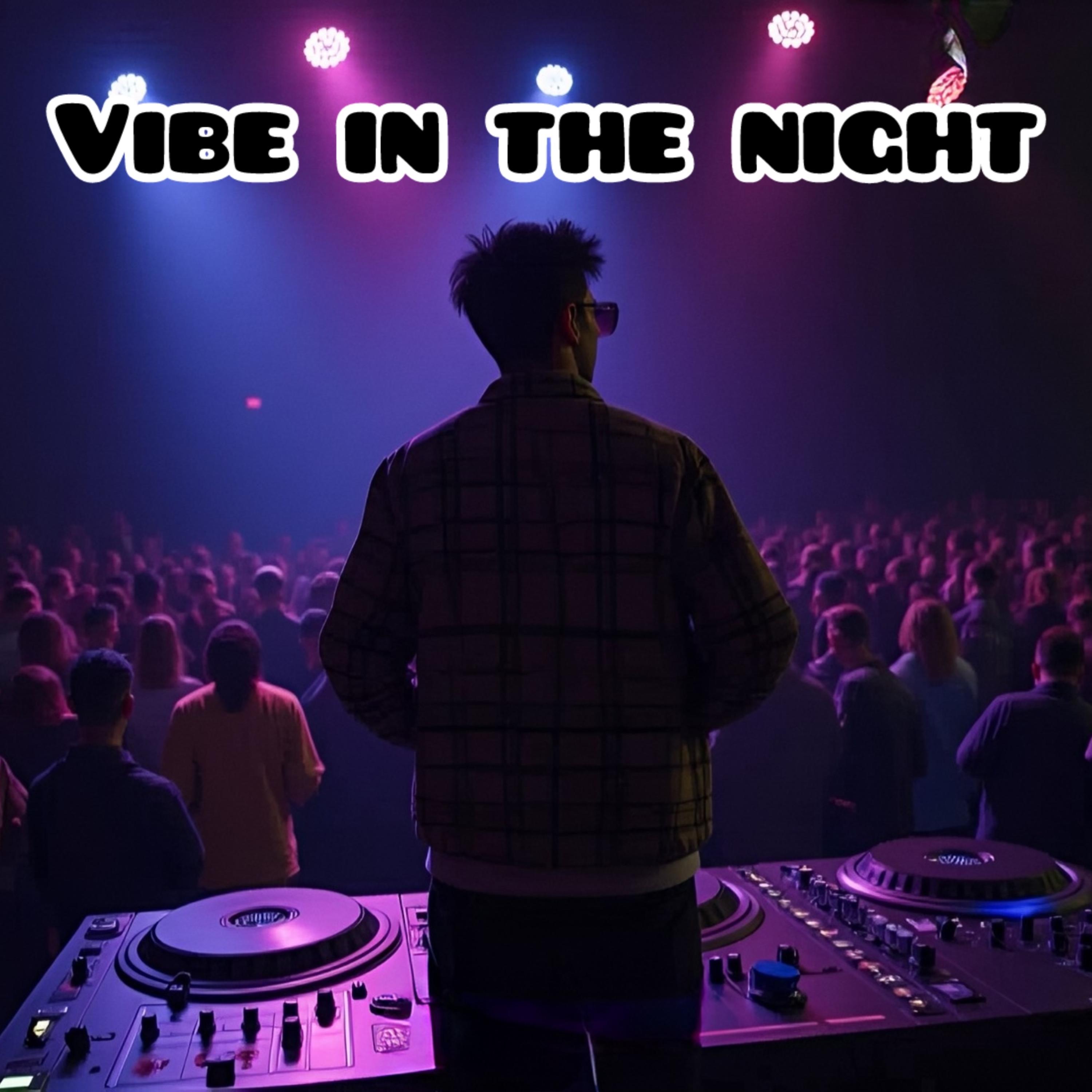Vibe In The Night artwork